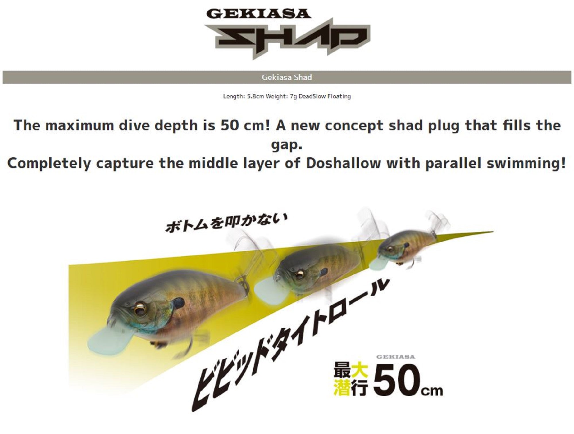 Lure Haven Singapore