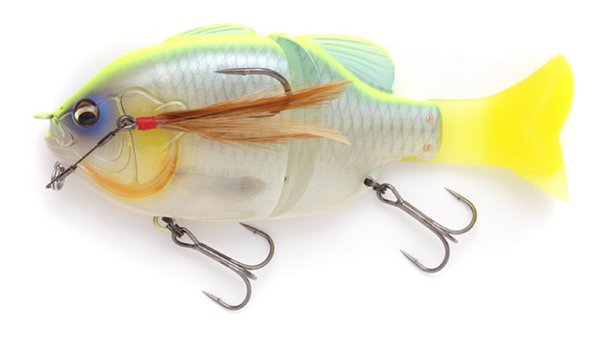 Lure Haven Singapore