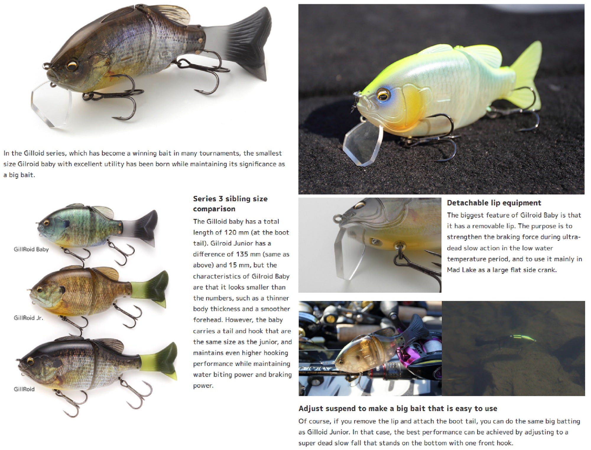 Lure Haven Singapore