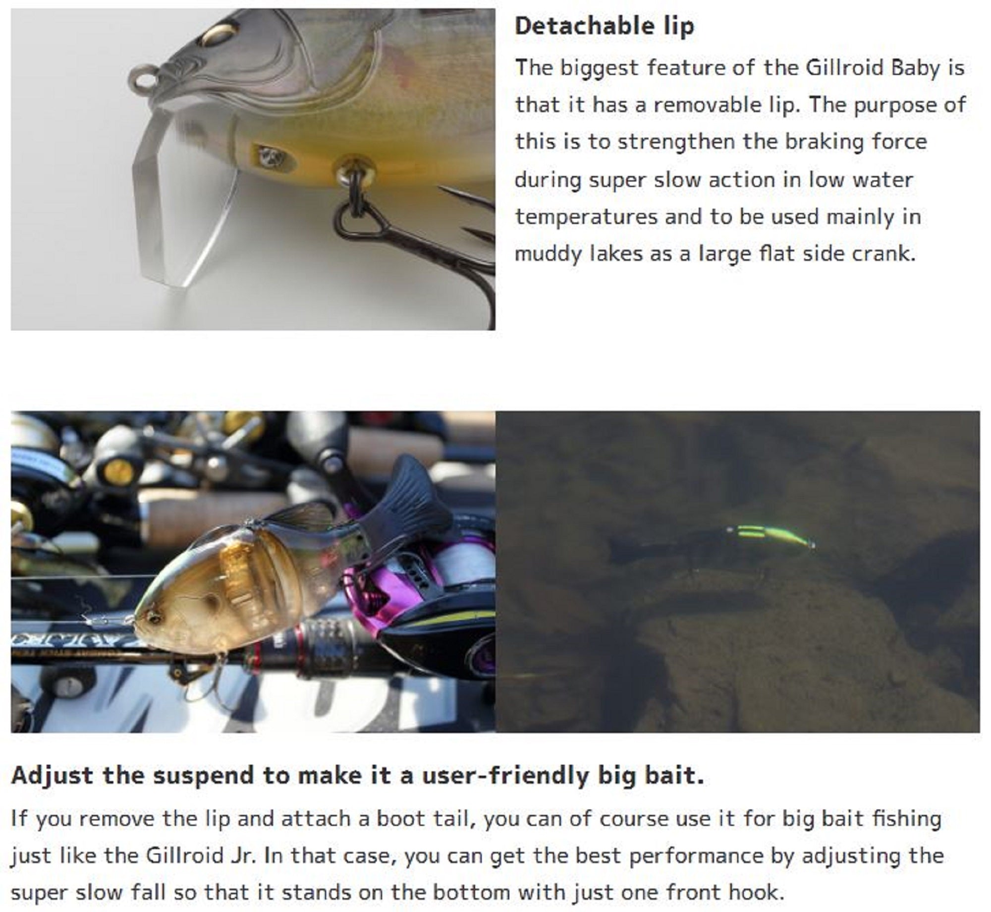 Lure Haven Singapore