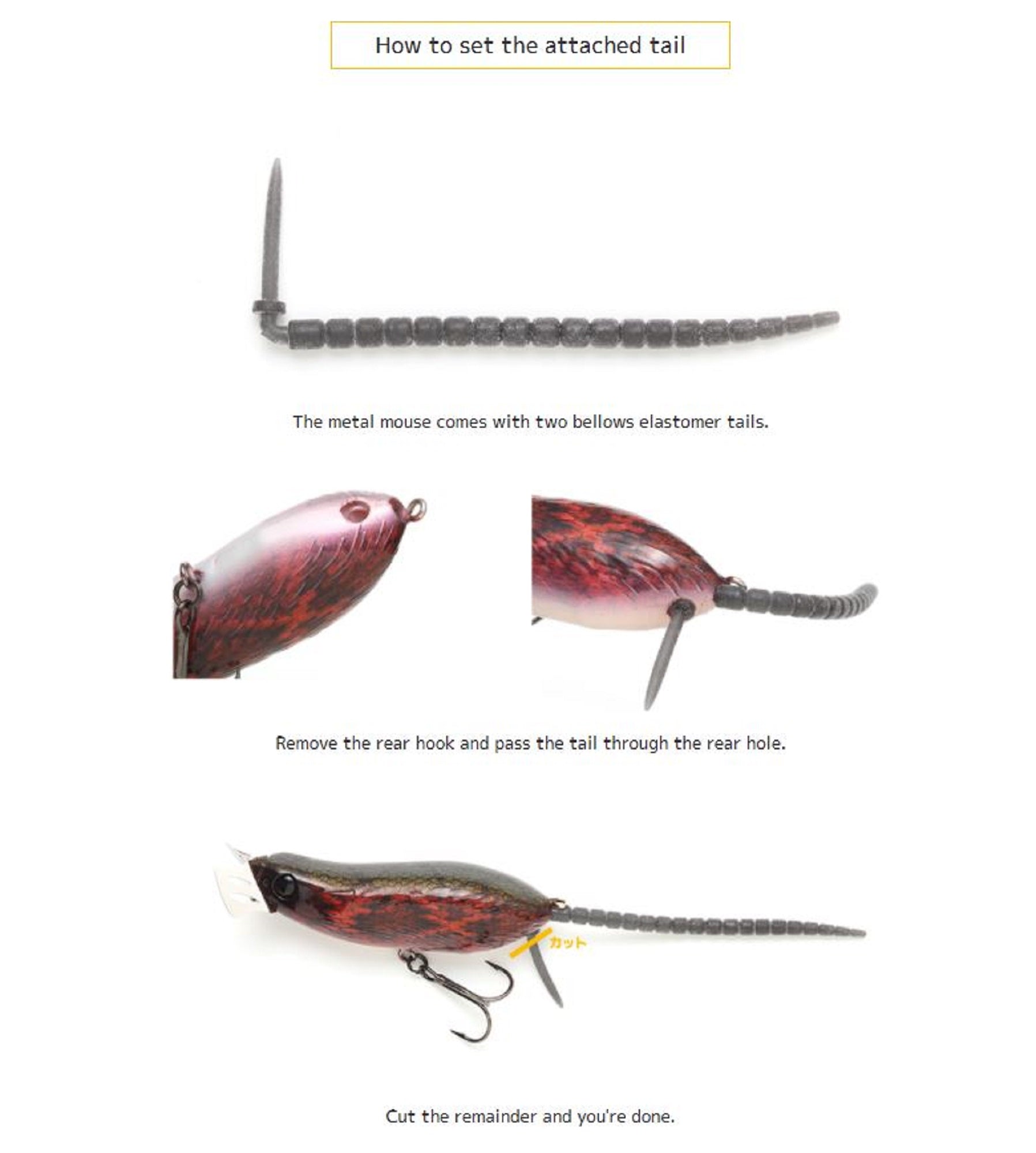 Lure Haven Singapore