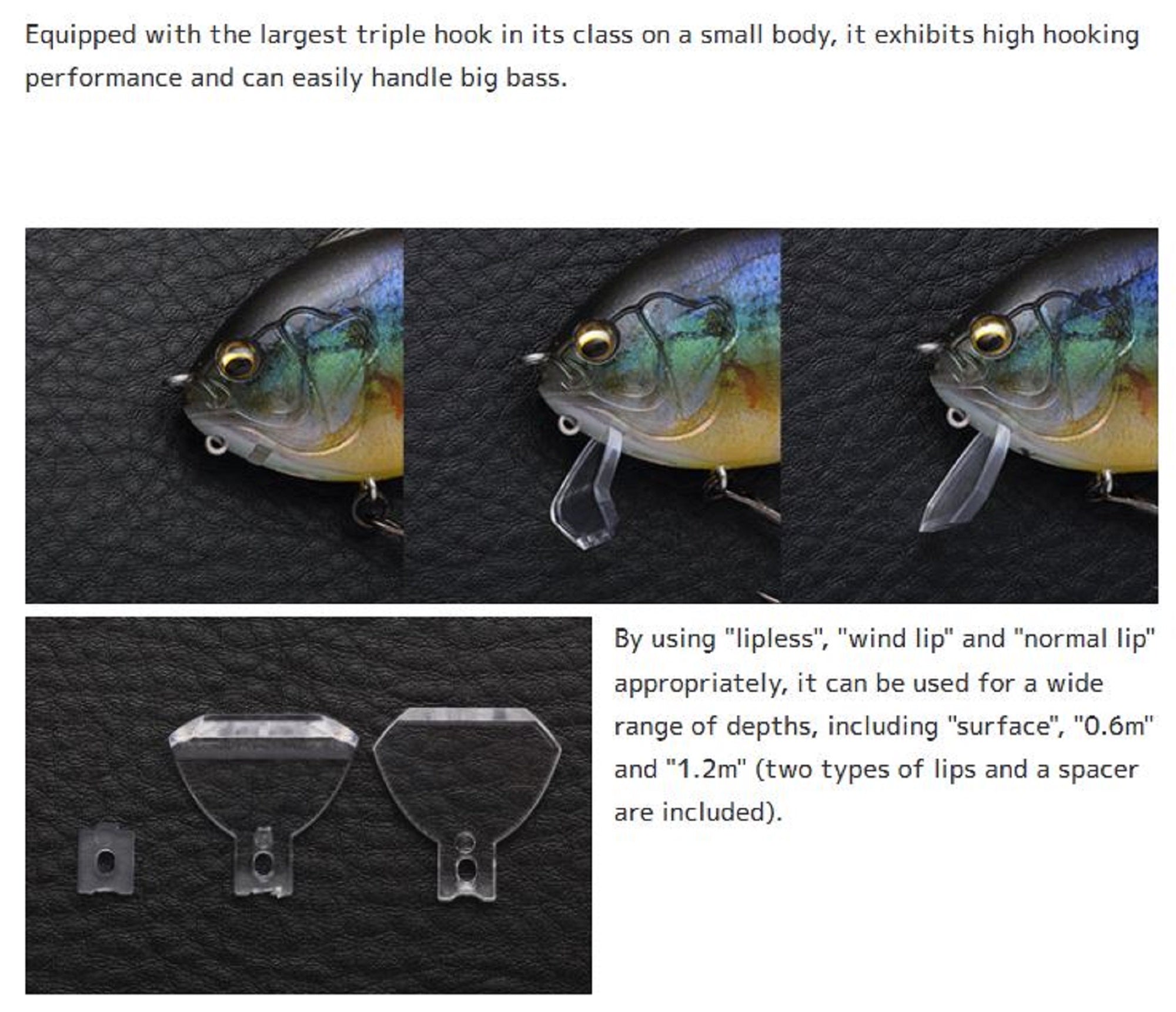 Lure Haven Singapore