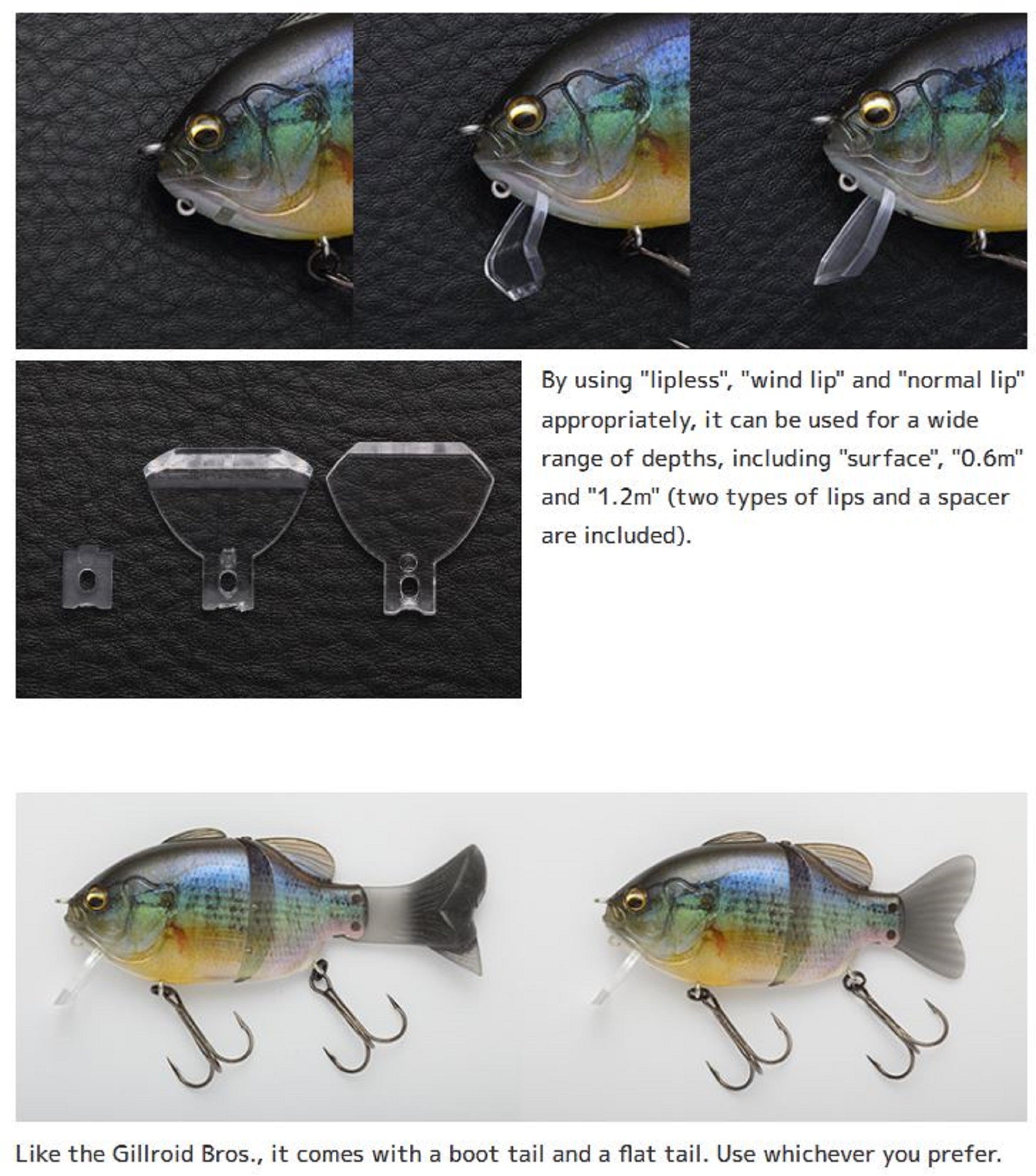 Lure Haven Singapore