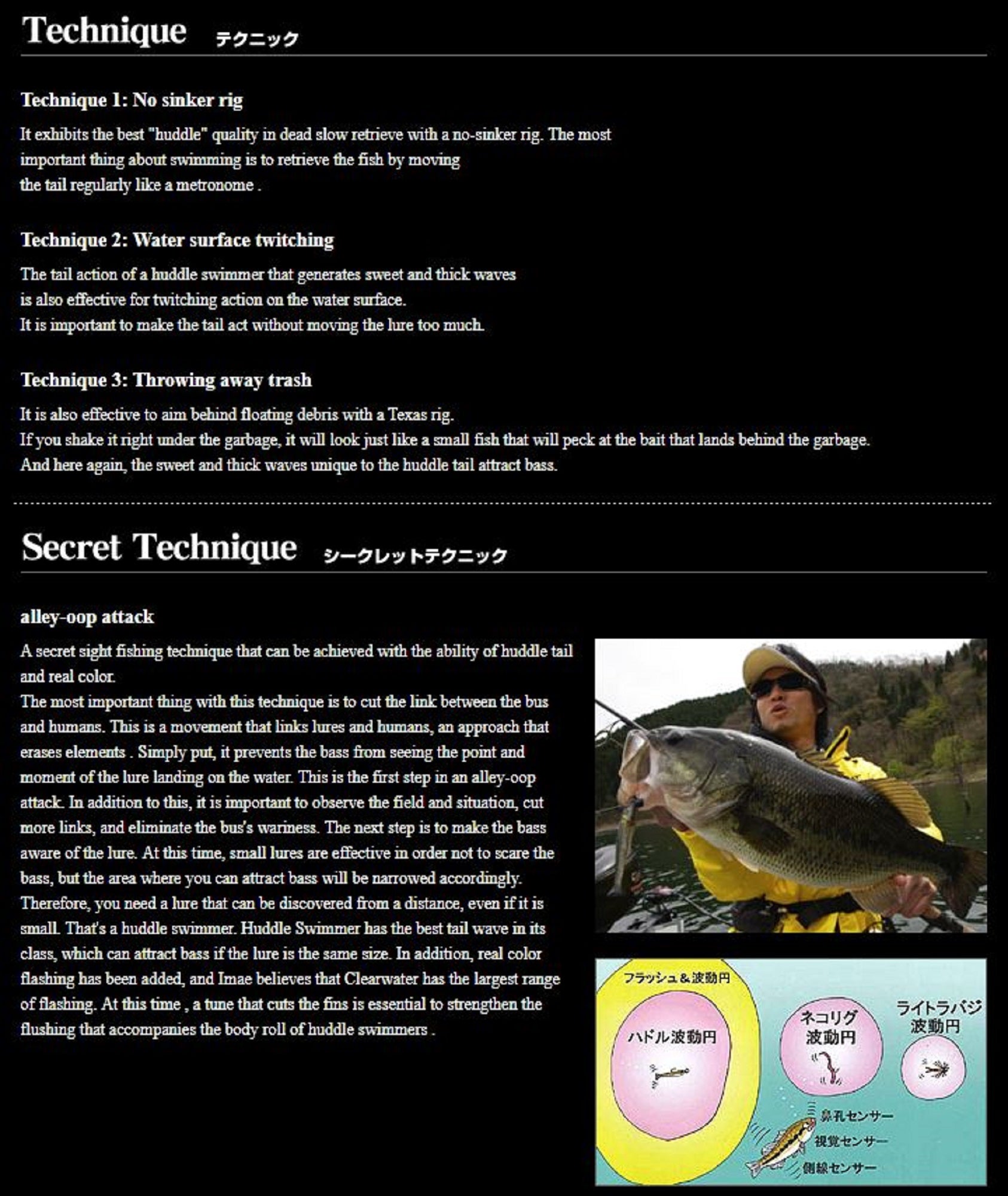 Lure Haven Singapore