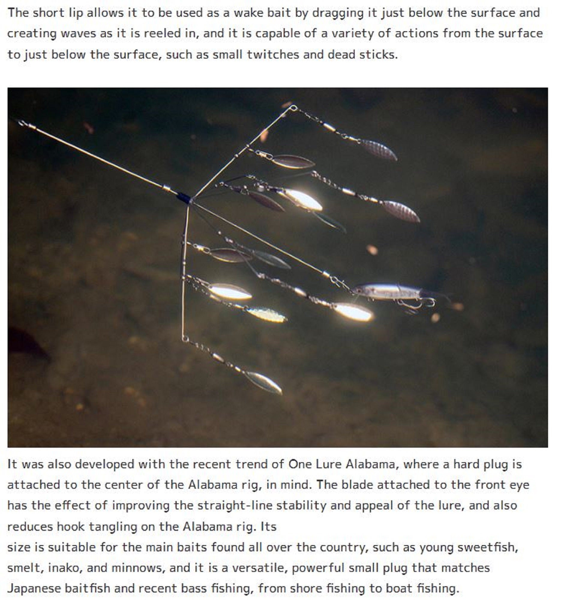 Lure Haven Singapore