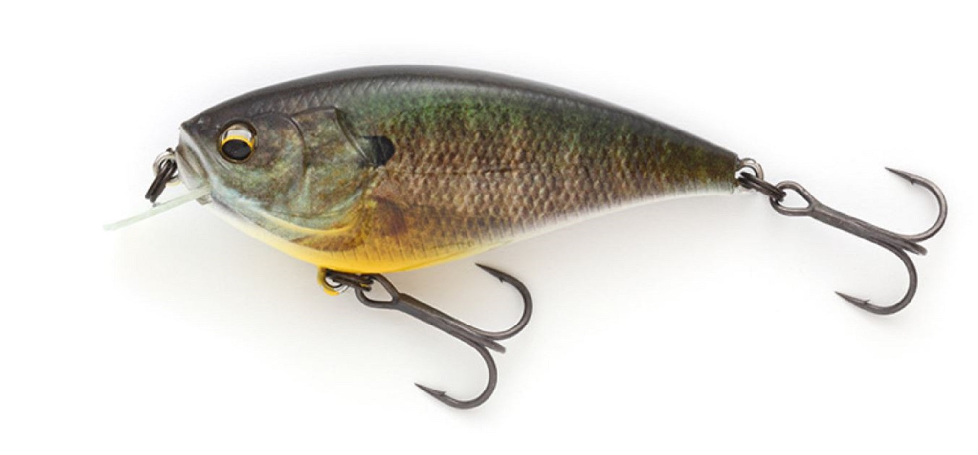 Imakatsu Gekiasa Flat 3DR 65 mm 11 grams Floating Lure 548 (1753)