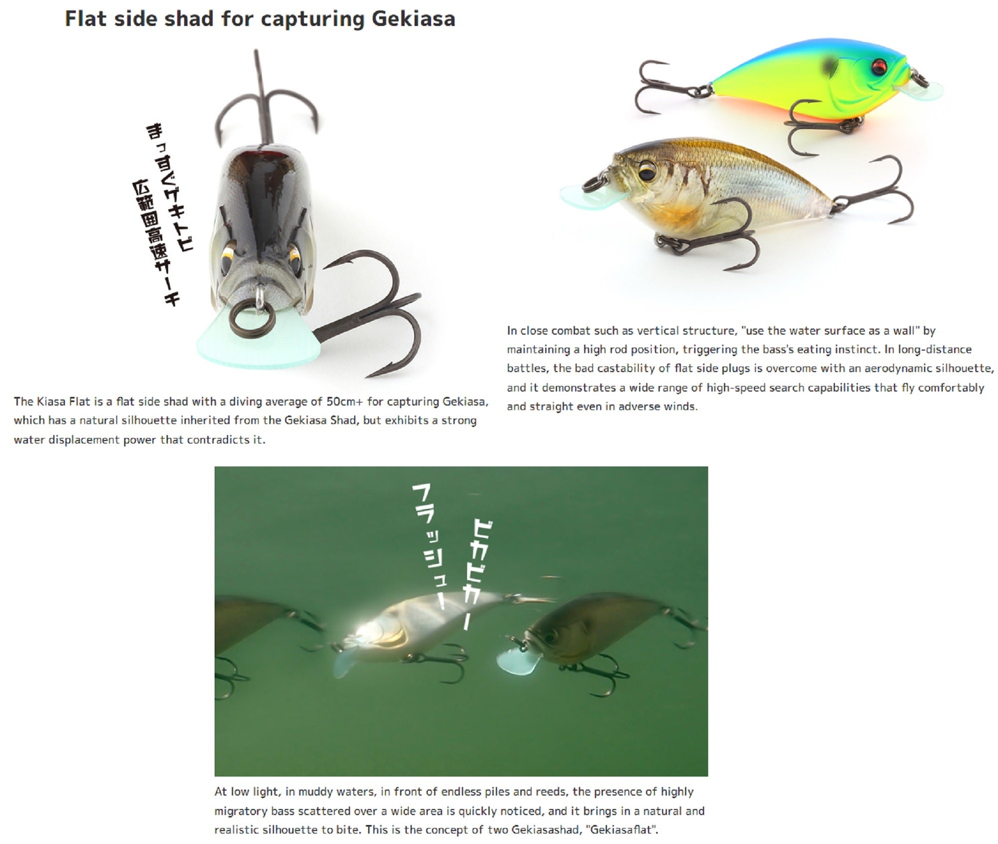 Imakatsu Gekiasa Flat 3DR 65 mm 11 grams Floating Lure 548 (1753)