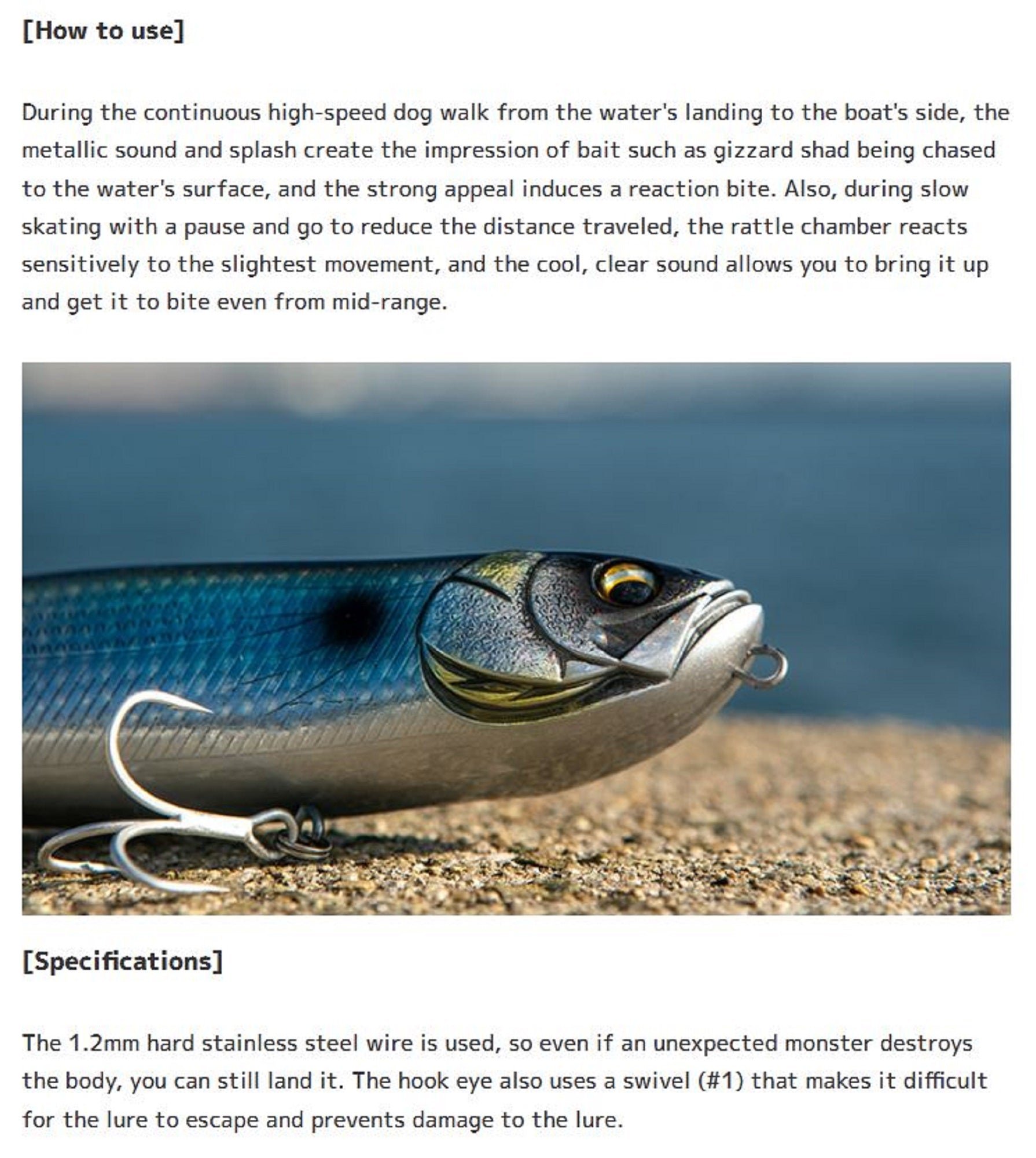 Lure Haven Singapore