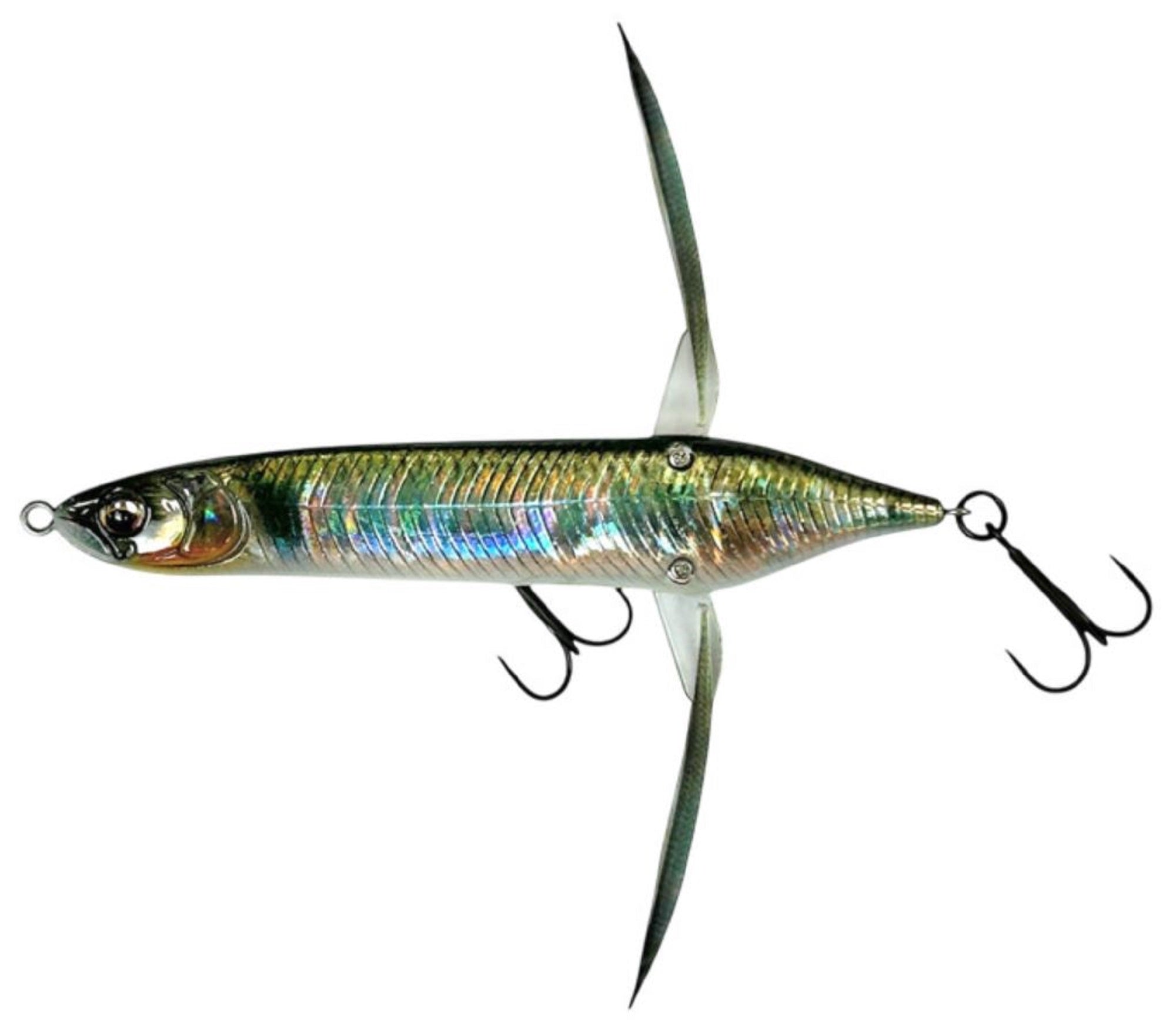 Lure Haven Singapore