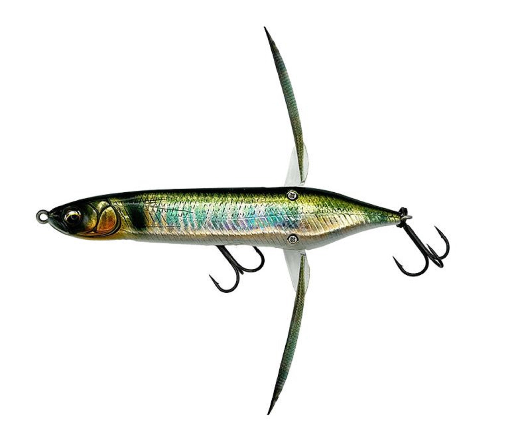 Lure Haven Singapore