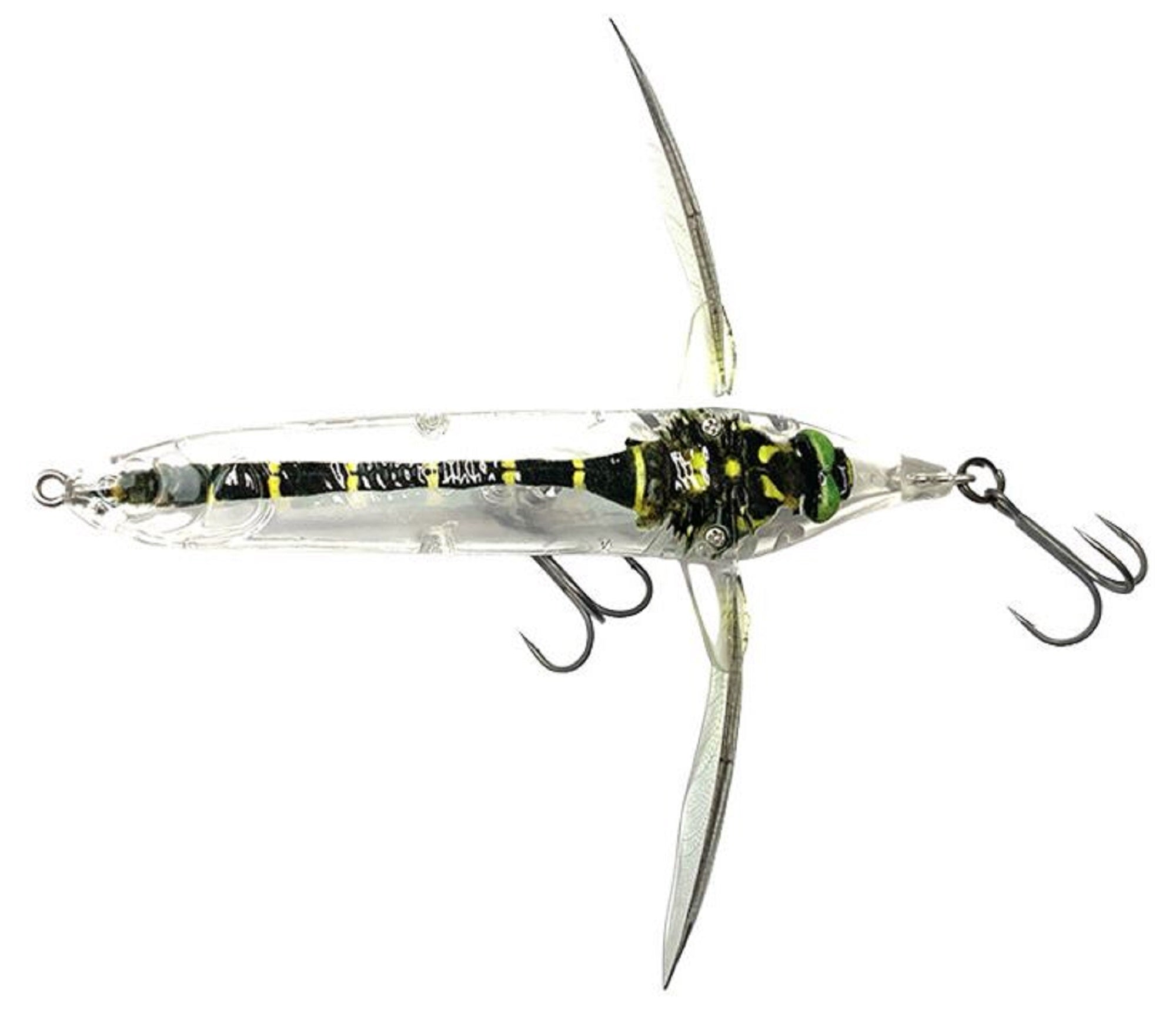 Lure Haven Singapore