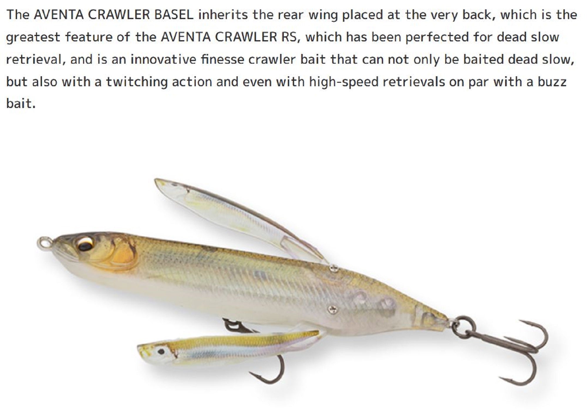 Lure Haven Singapore