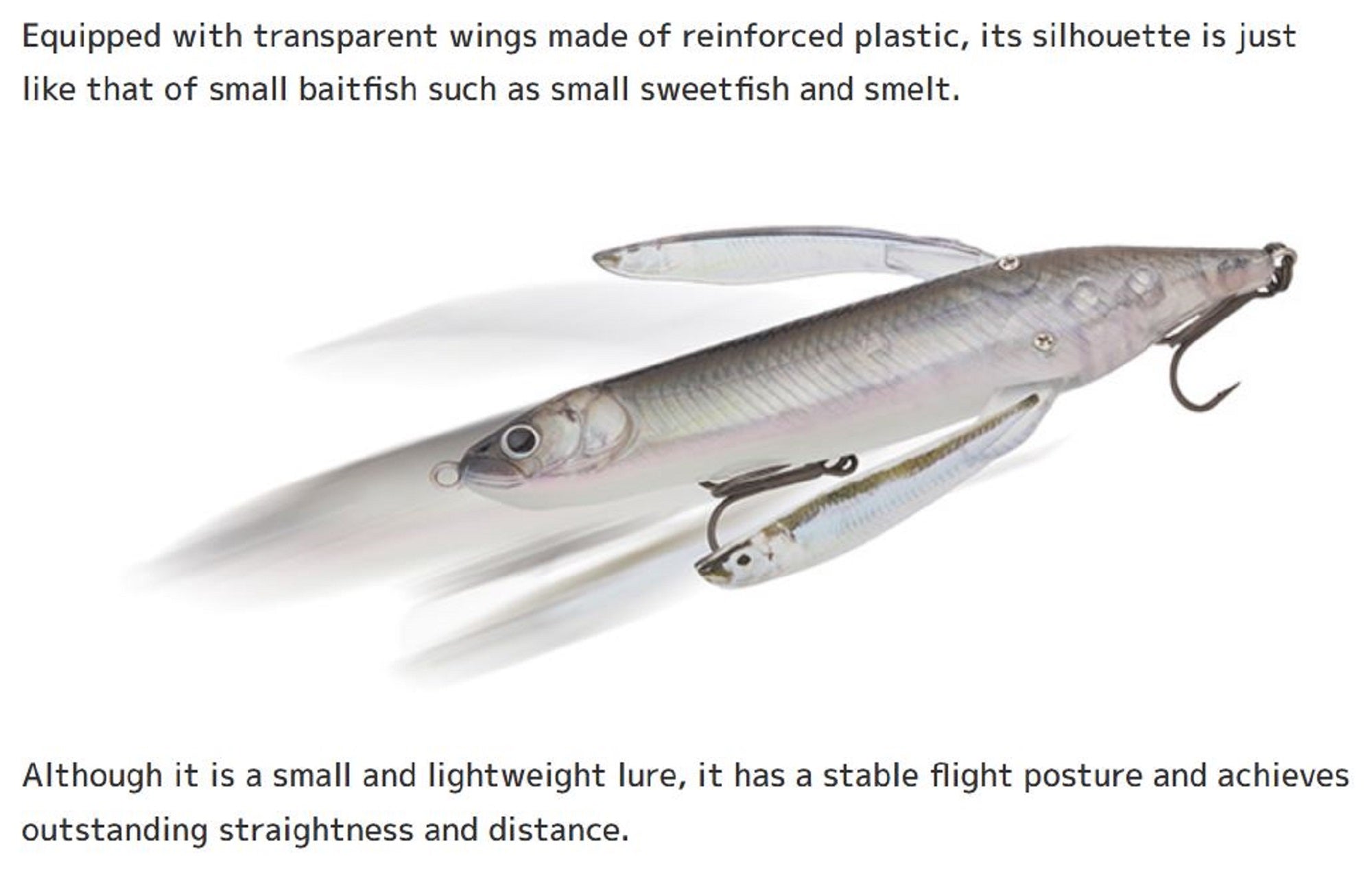 Lure Haven Singapore