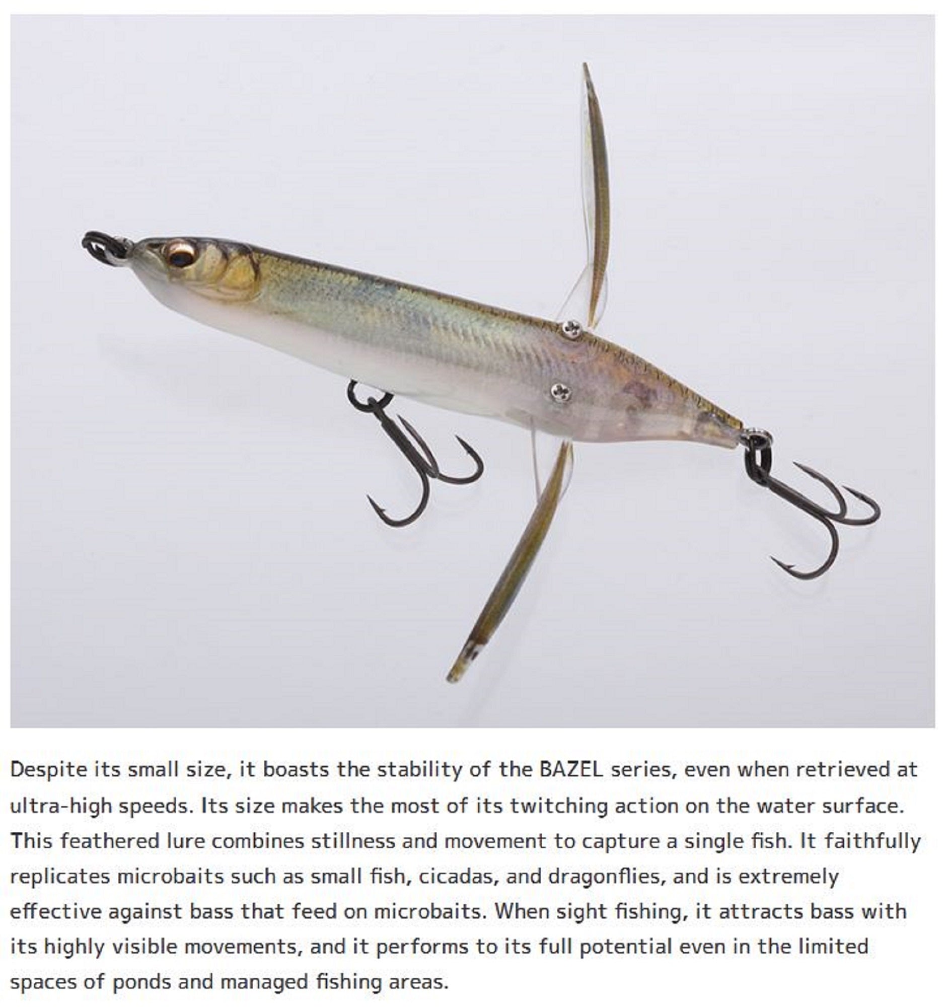 Lure Haven Singapore