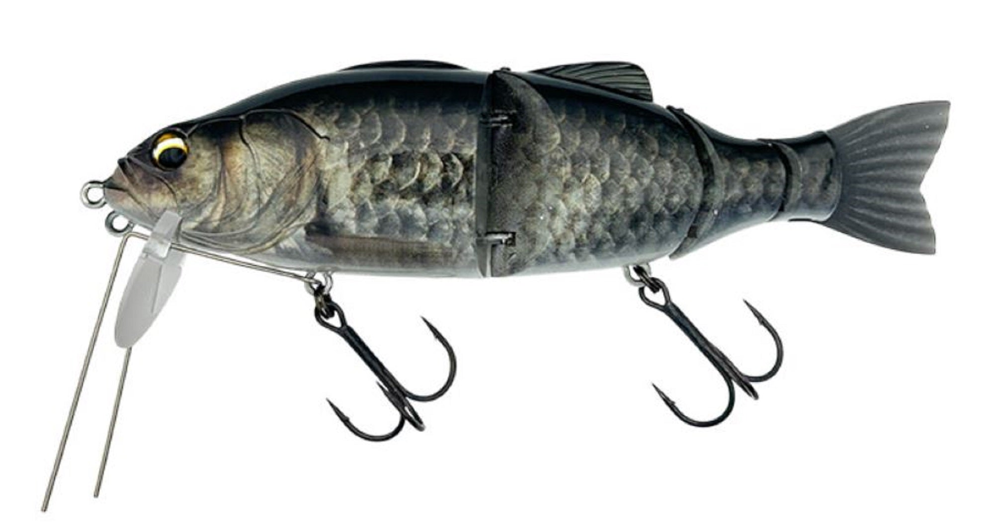Lure Haven Singapore