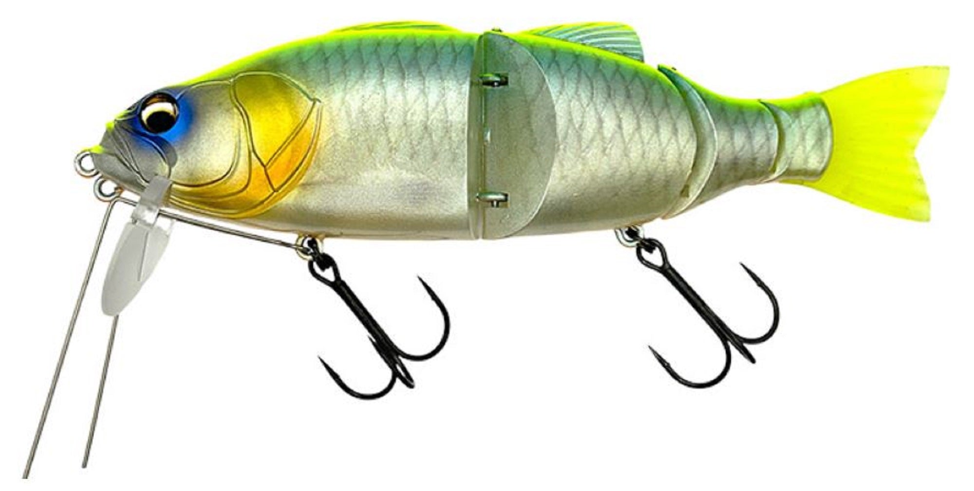 Lure Haven Singapore
