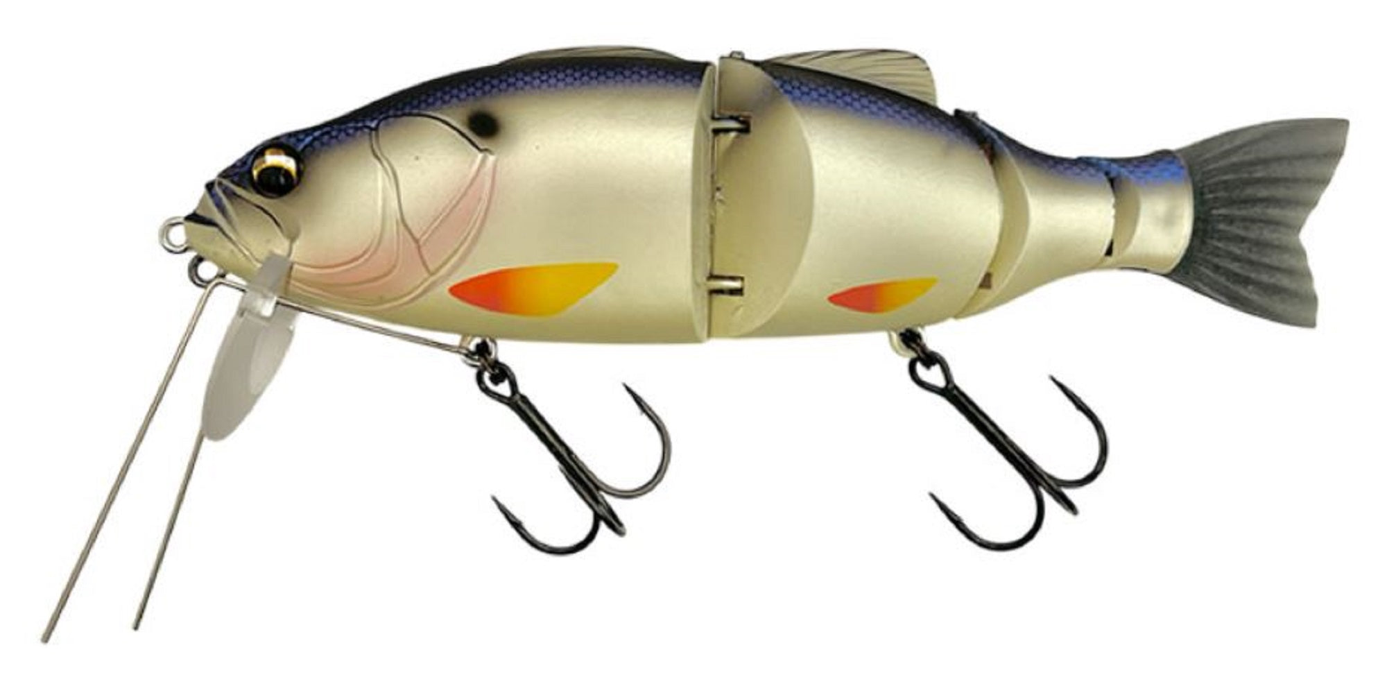 Lure Haven Singapore