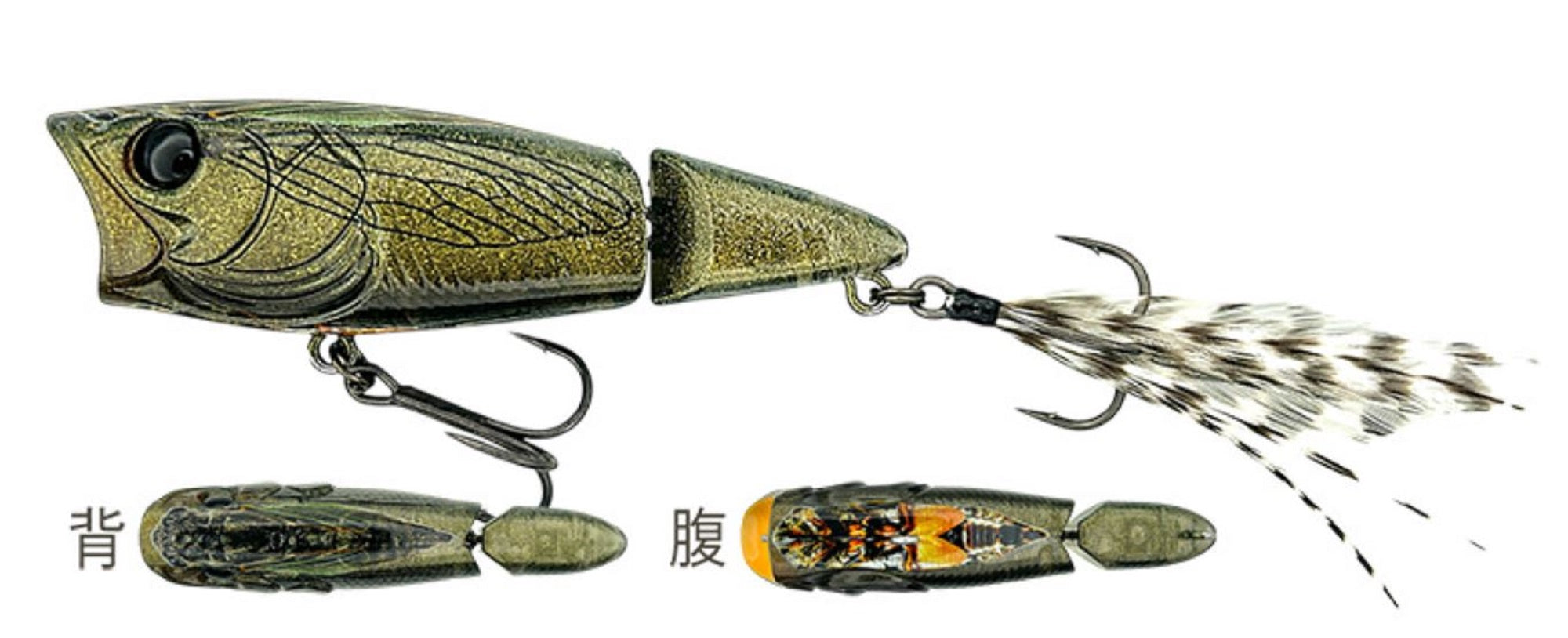 Lure Haven Singapore