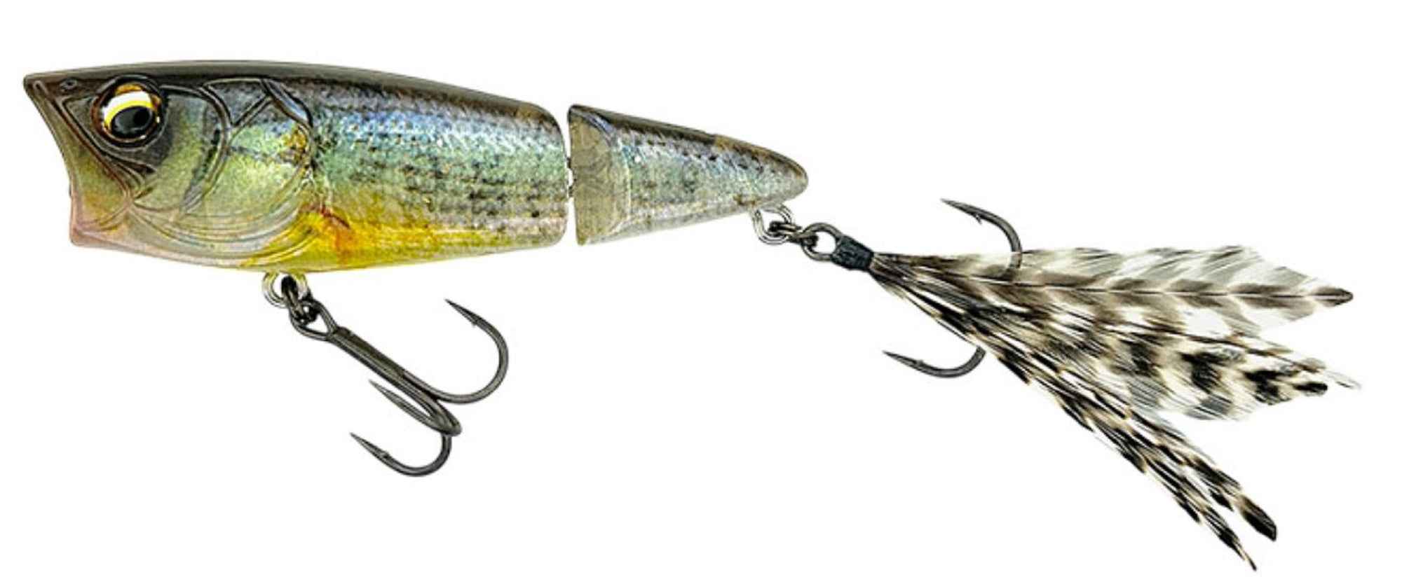 Lure Haven Singapore