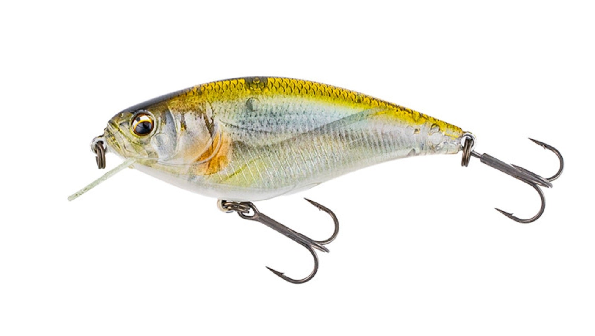Imakatsu Gekiasa Shad 3D Realism 58 mm 7 grams Floating Lure 904 (9025)