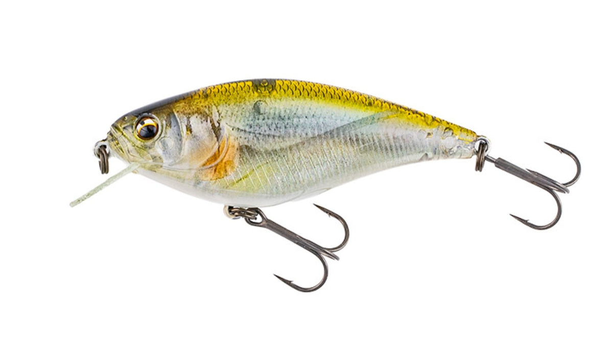 Imakatsu Gekiasa Shad 3D Realism 58 mm 7 grams Floating Lure 904 (9025