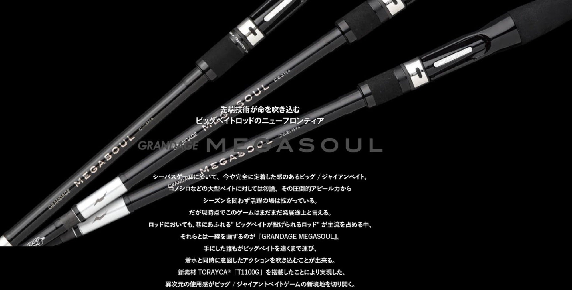 Apia Rod Baitcast Grandage Megasoul 63H+ (3093)