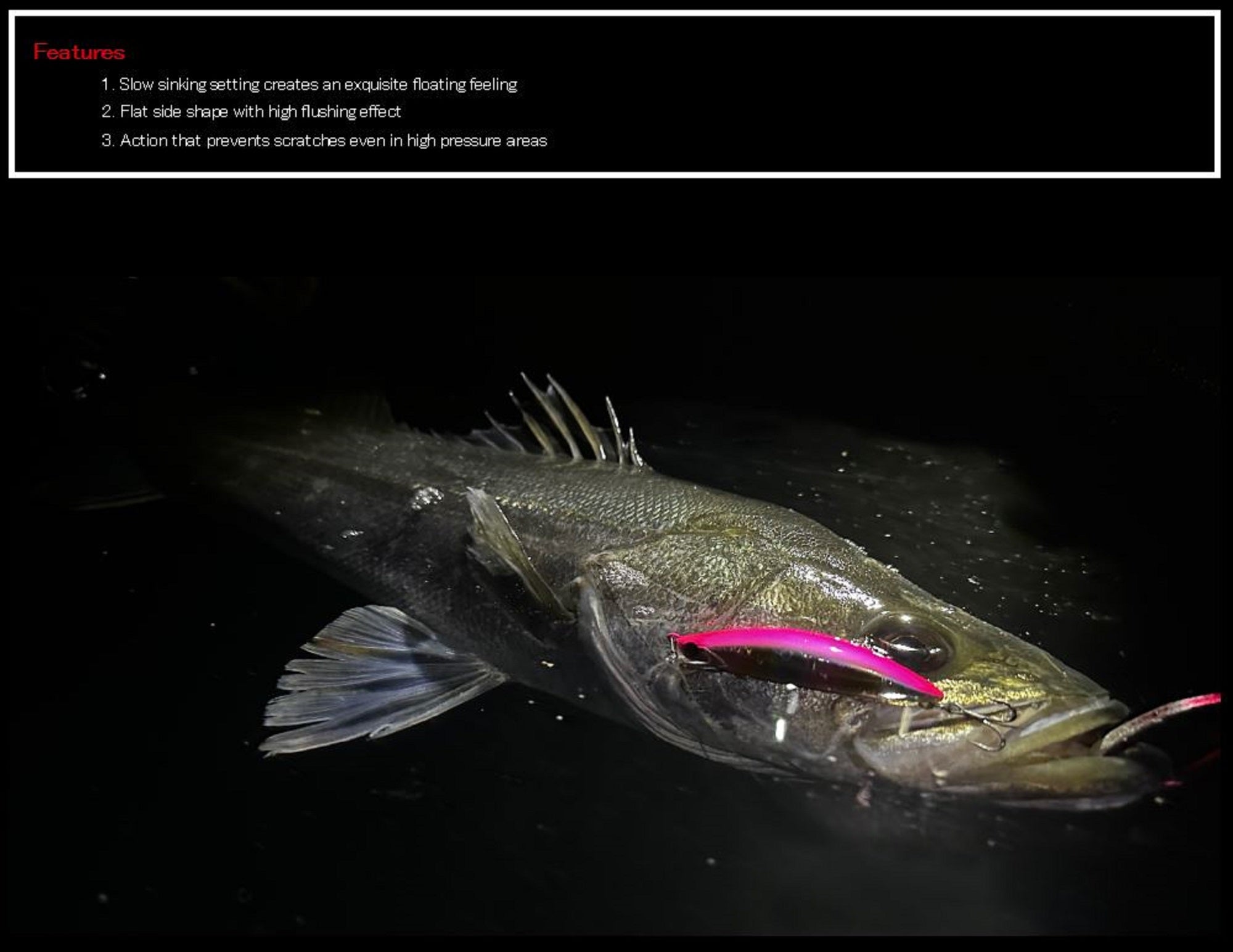 Lure Haven Singapore