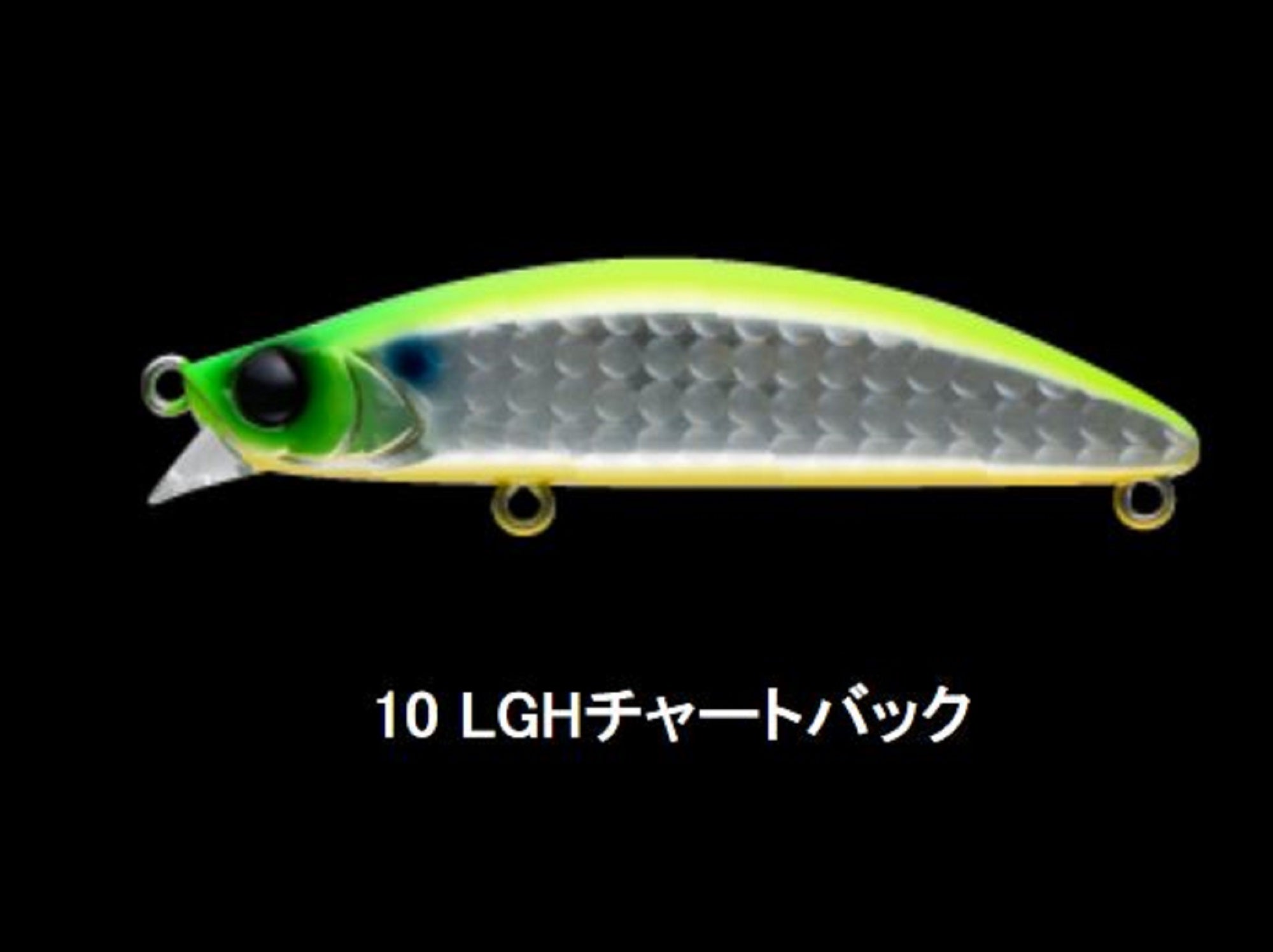 Lure Haven Singapore