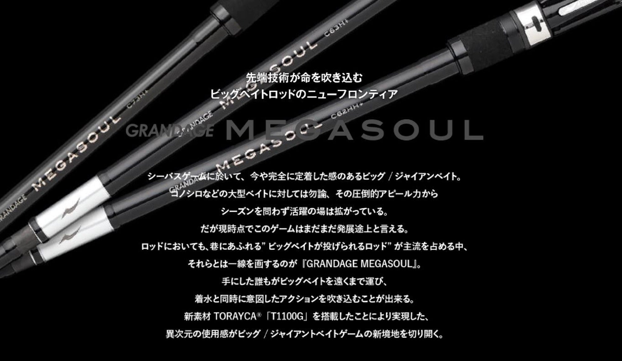 Apia Rod Spinning Grandage Megasoul S66MH+ (8104)