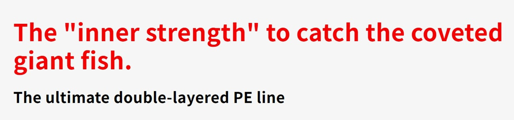 YGK P.E Line X Braid Oddport WXP 1 X8 300m P.E 2 45lb Max (8384)
