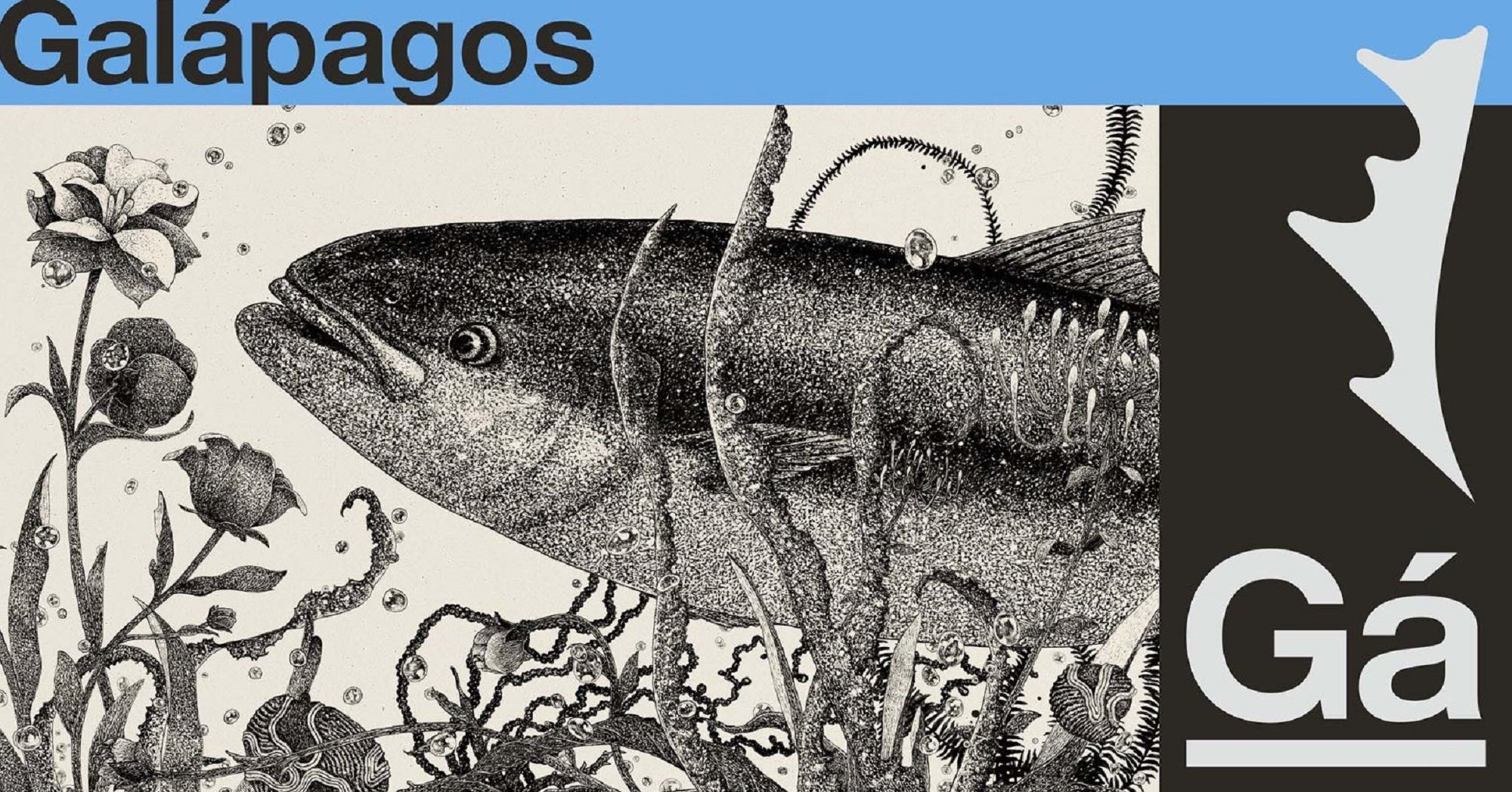 Galapagos Rod Baitcast Daybreak Recordo GDB-C782M-2 (1754)