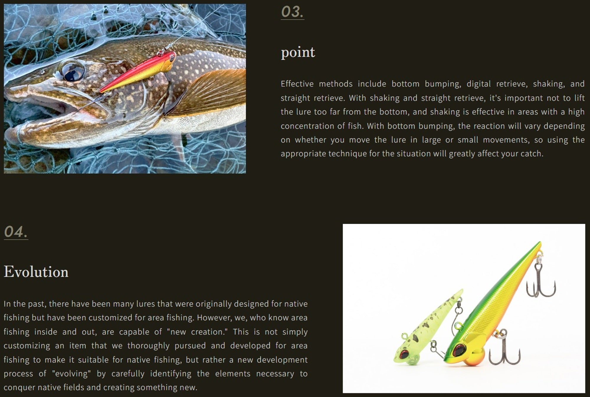 Valkein Shine Ride 70mm 14 grams Sinking Lure M049 (3595)