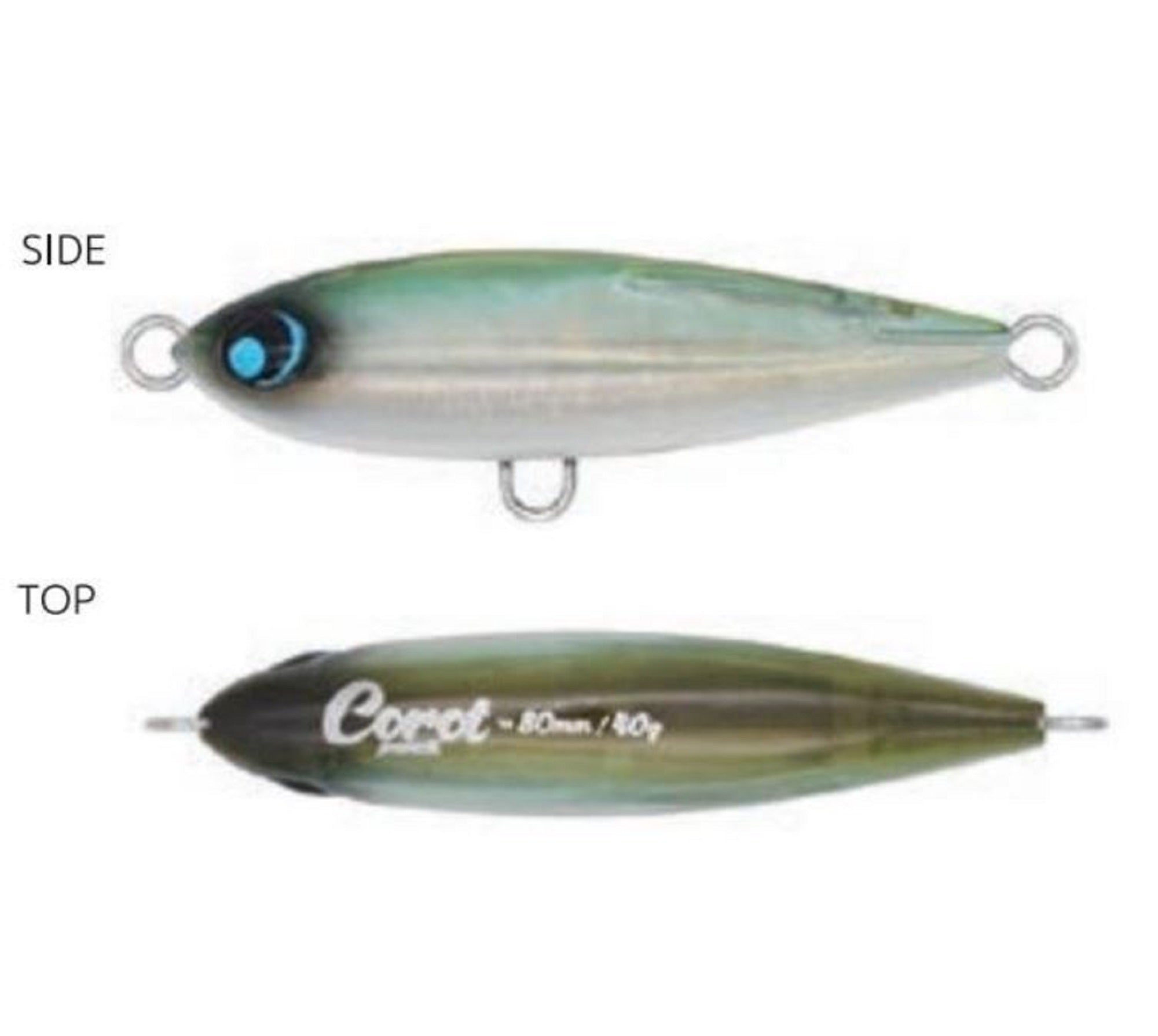 Lure Haven Singapore