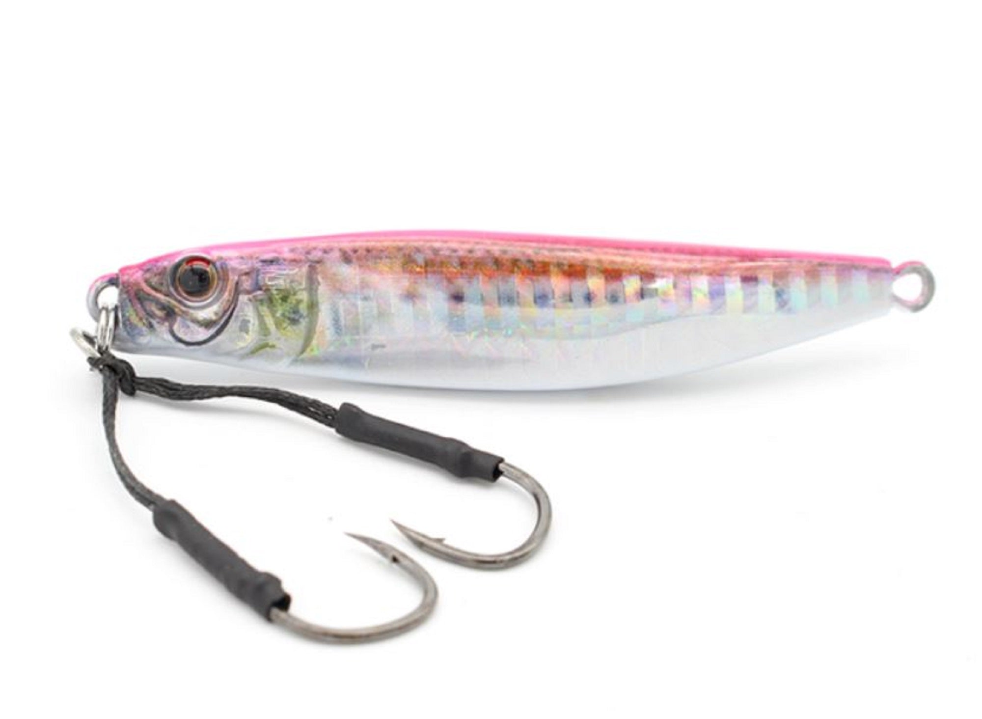 Lure Haven Singapore