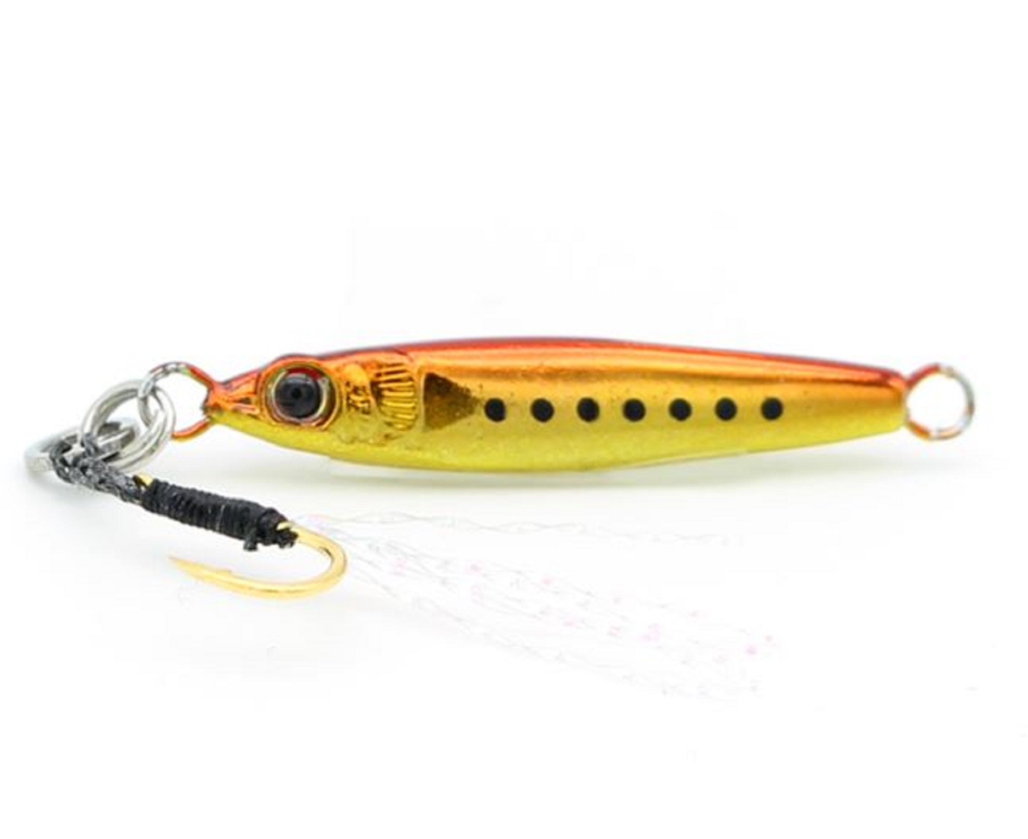 Lure Haven Singapore