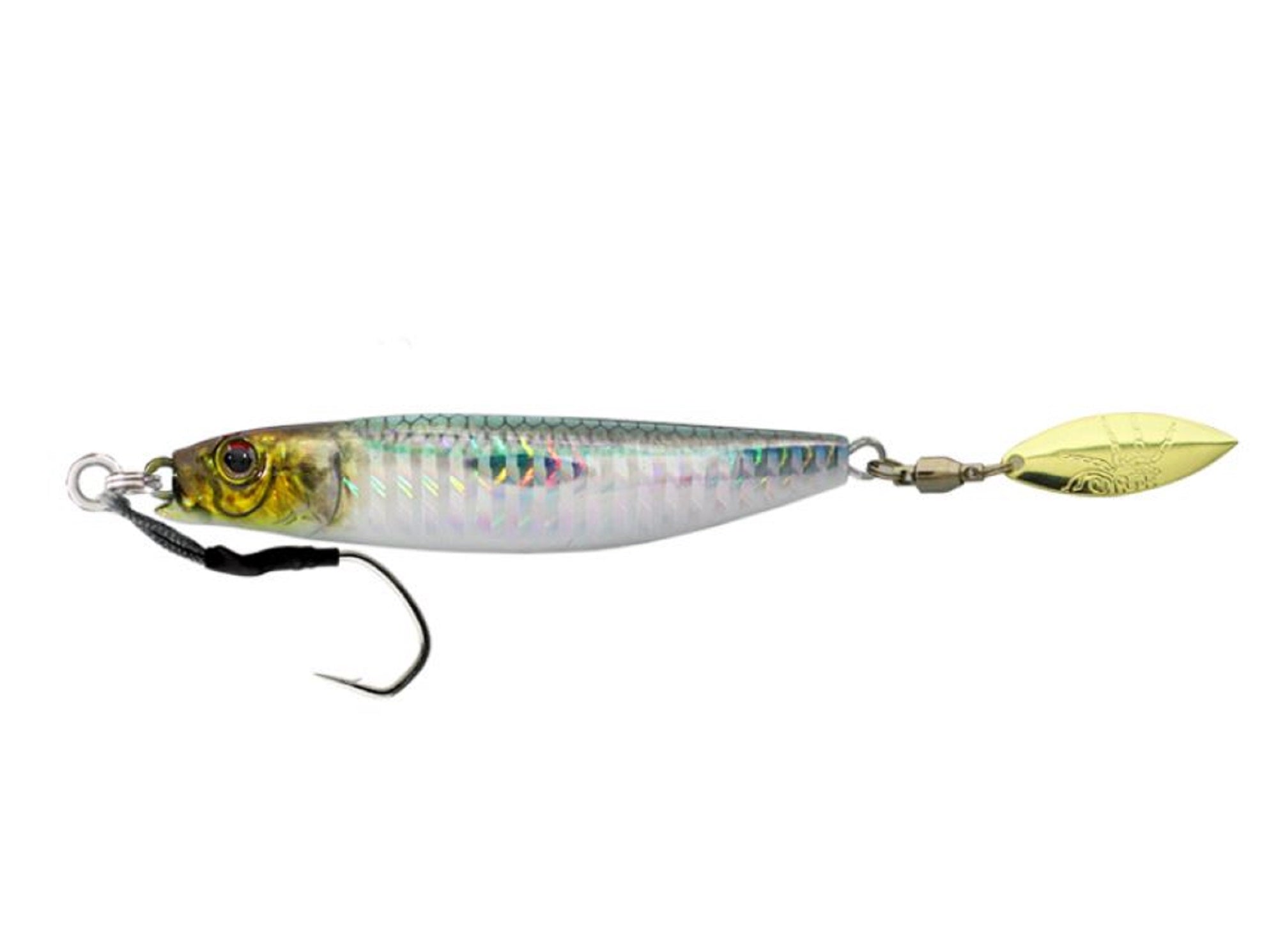 Lure Haven Singapore
