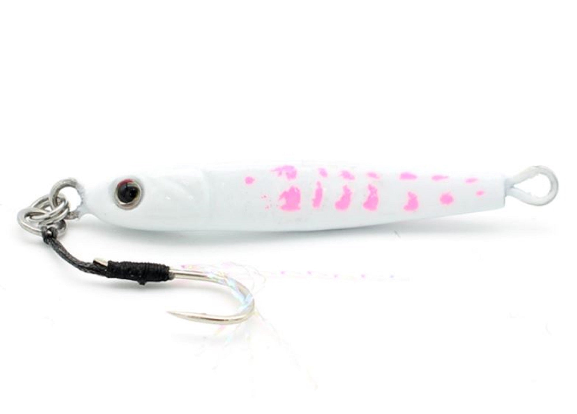 Lure Haven Singapore