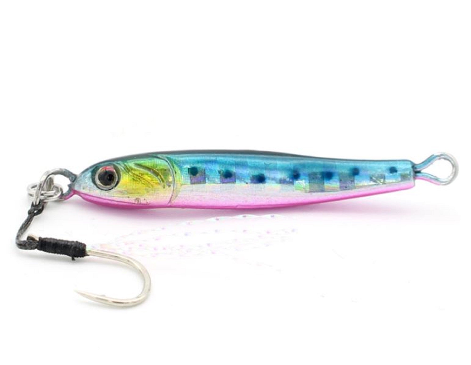 Lure Haven Singapore