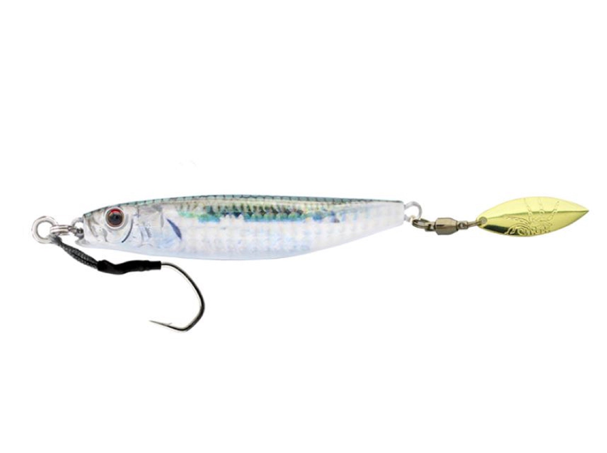 Lure Haven Singapore