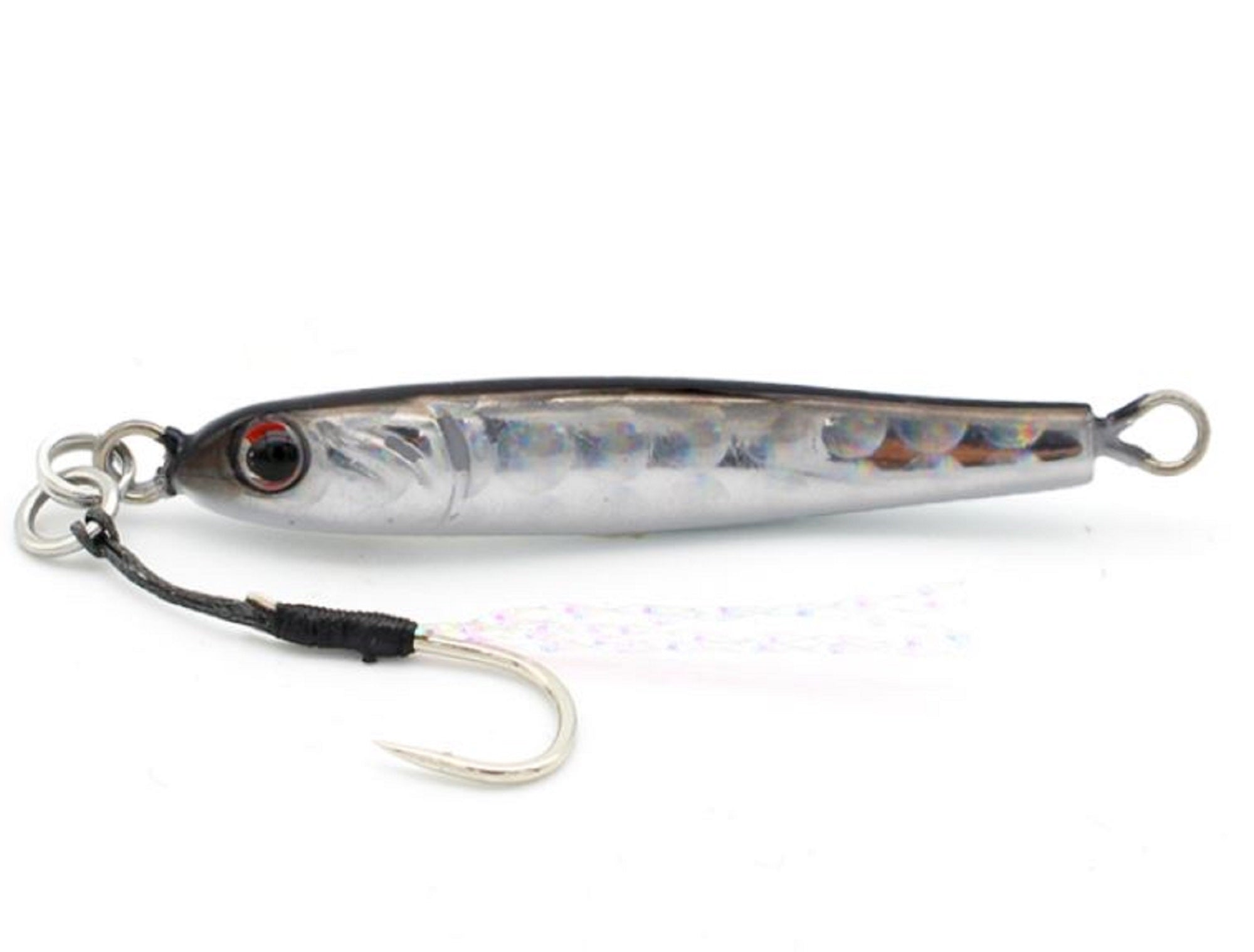 Lure Haven Singapore