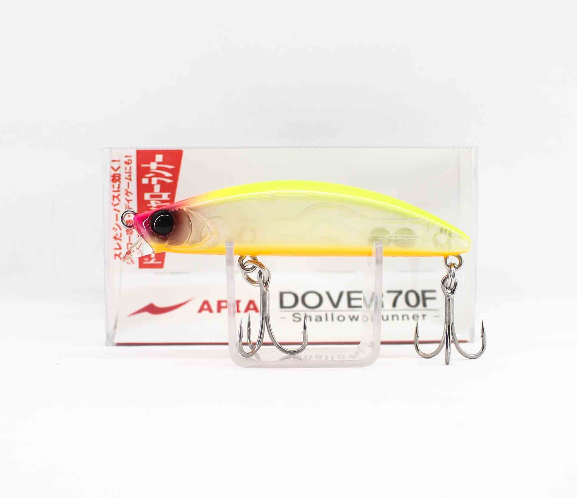 Lure Haven Singapore