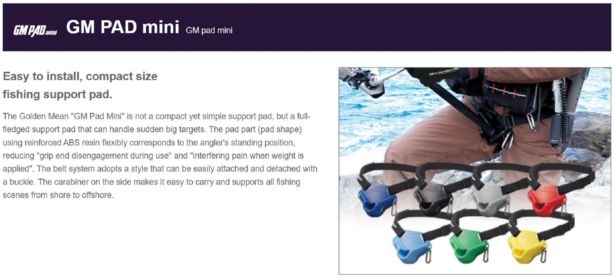 Golden Mean Fighting Pad Mini Navy (3395)