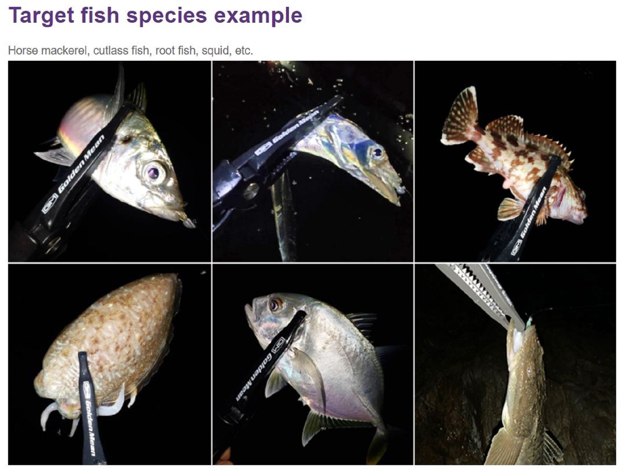 Golden Mean Capture Scissors Set with Holder Black (9717)