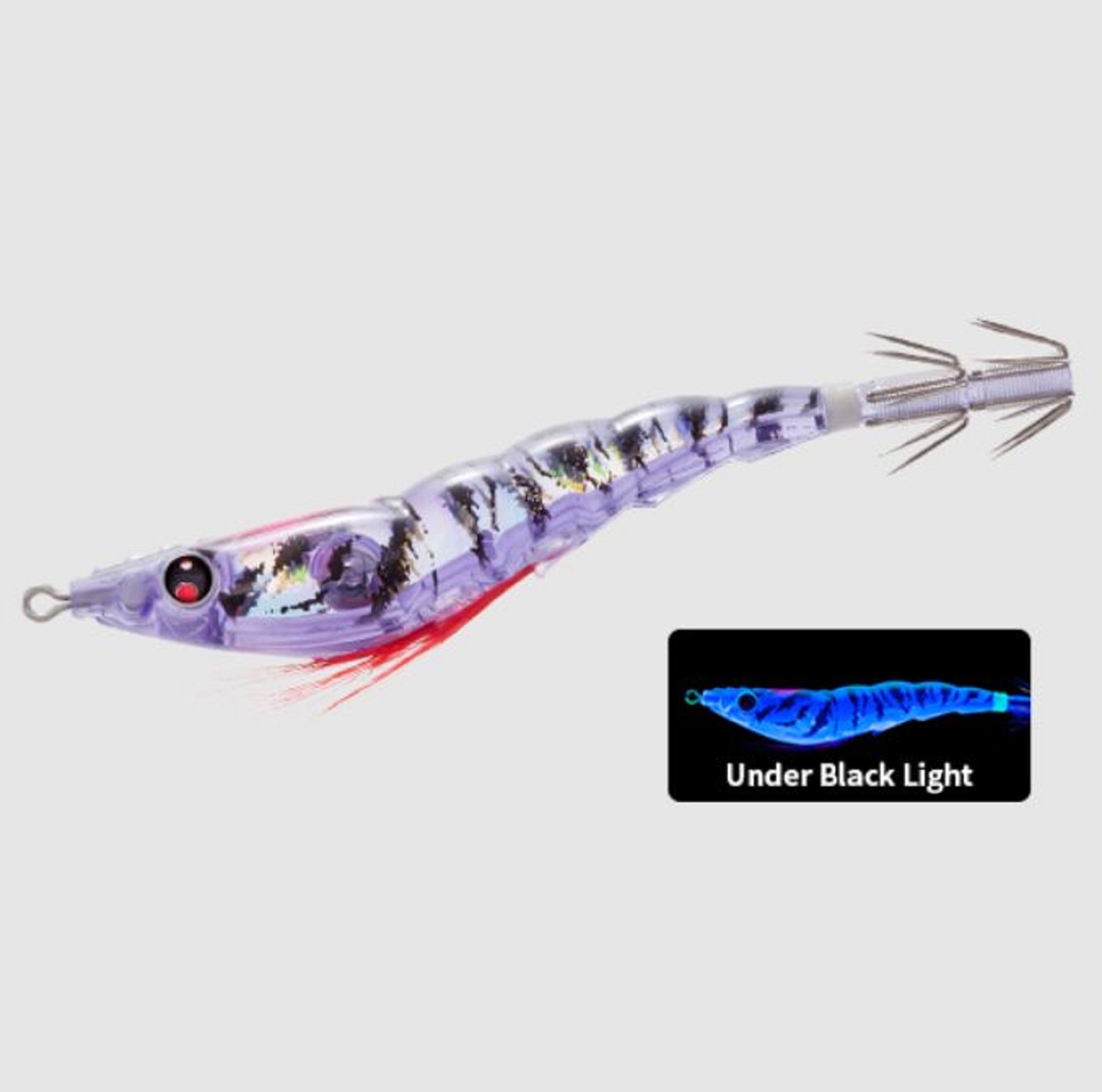 Lure Haven Singapore