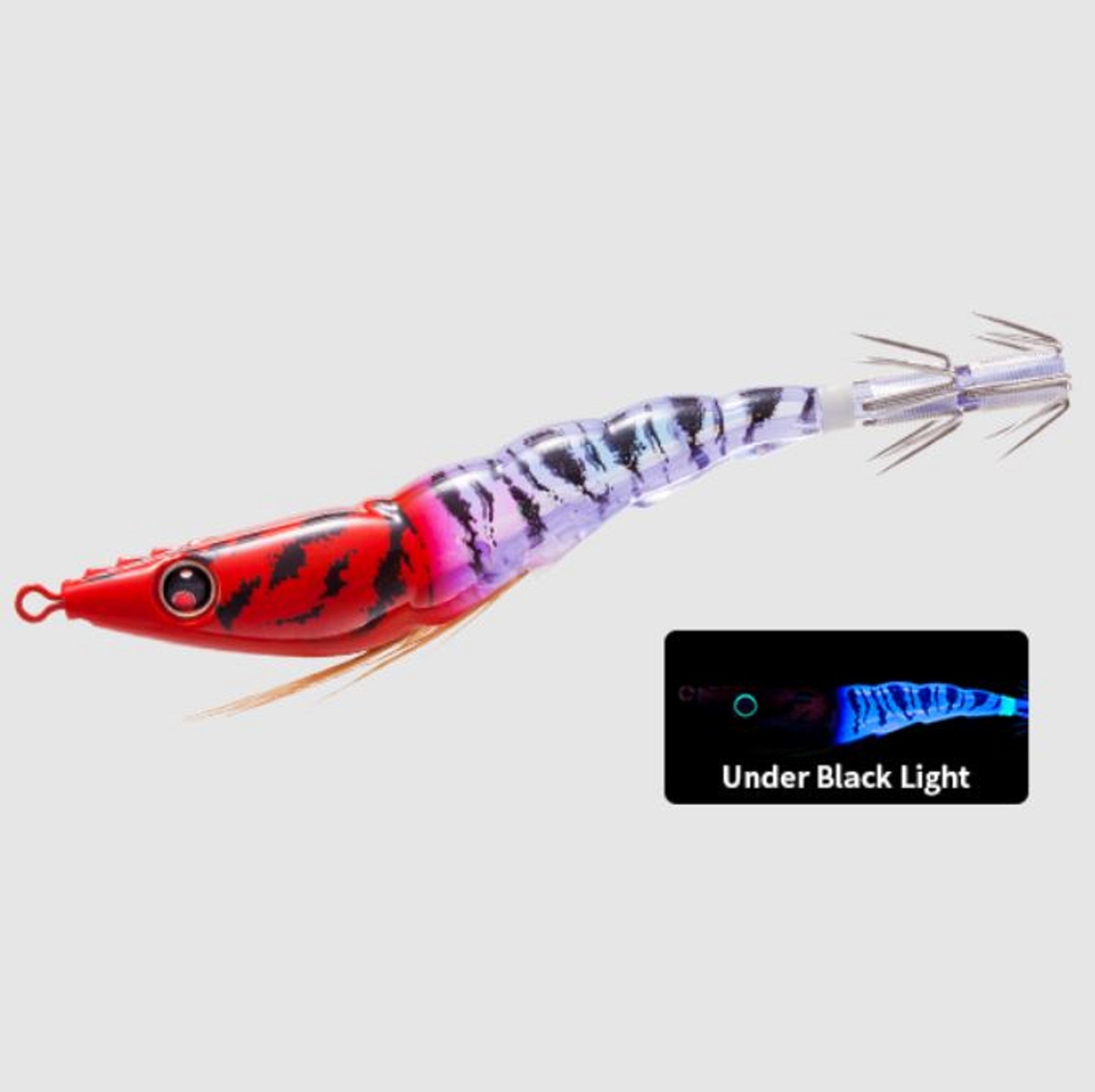 Lure Haven Singapore