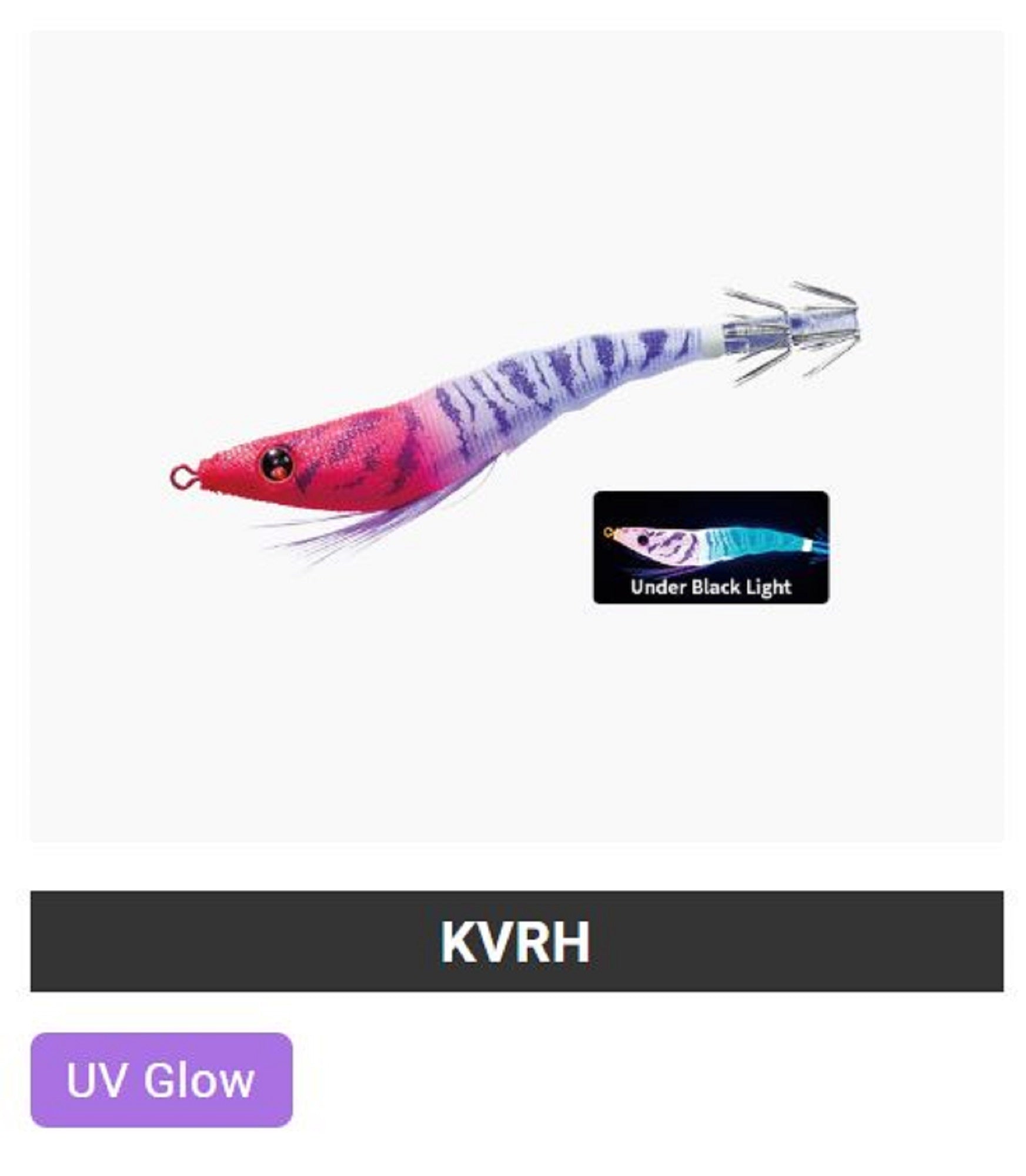 Lure Haven Singapore