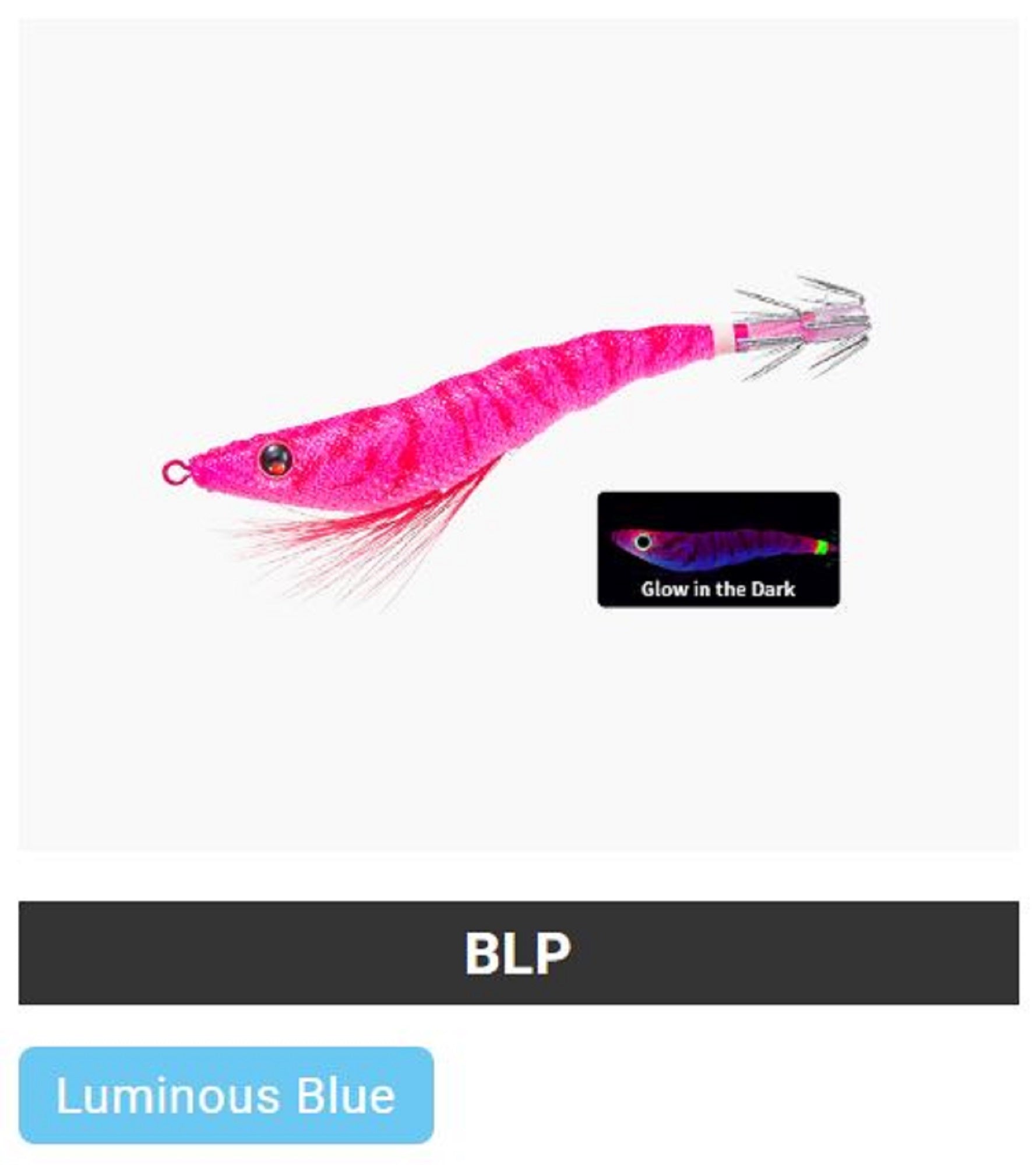 Lure Haven Singapore