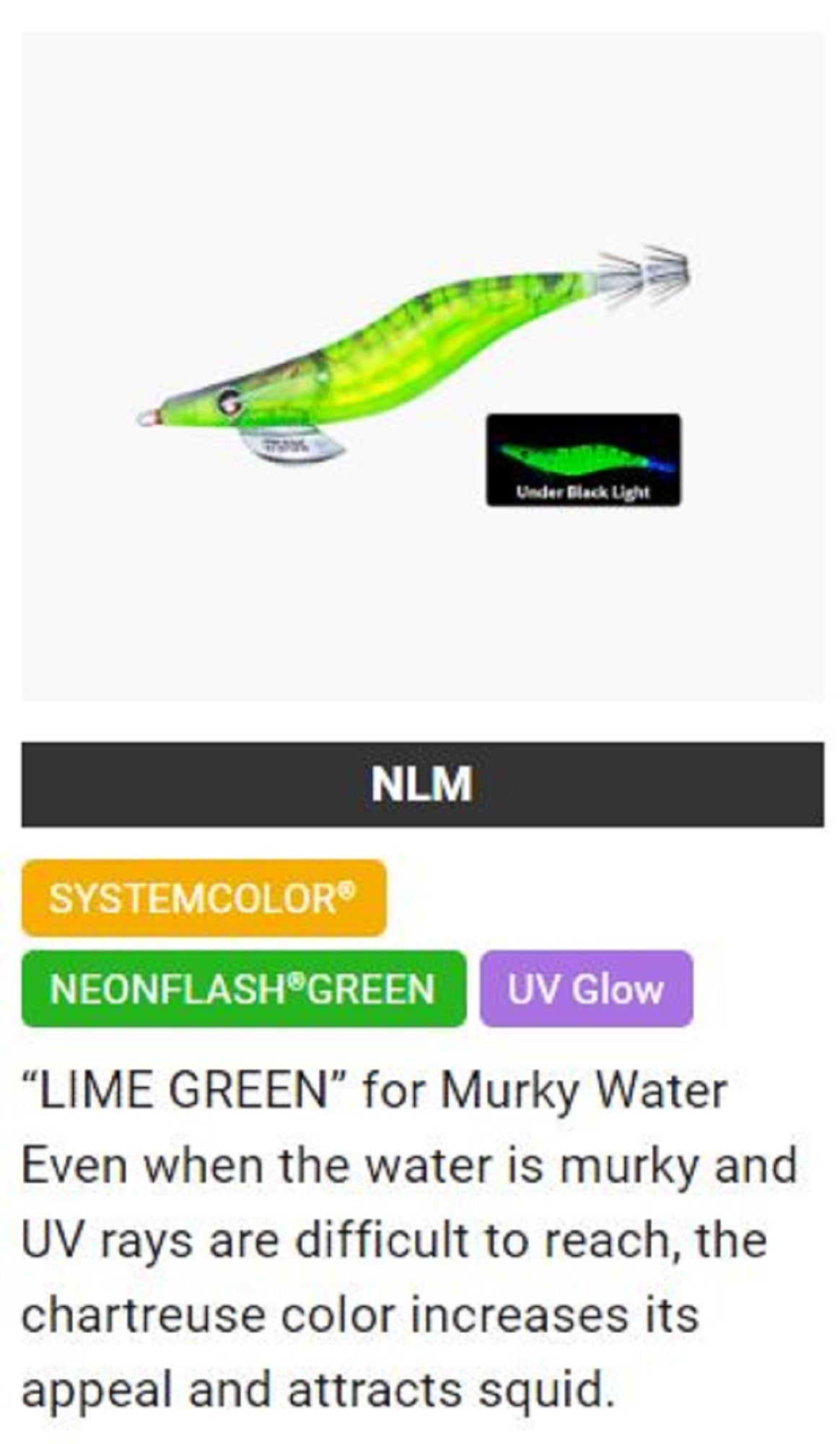 Lure Haven Singapore