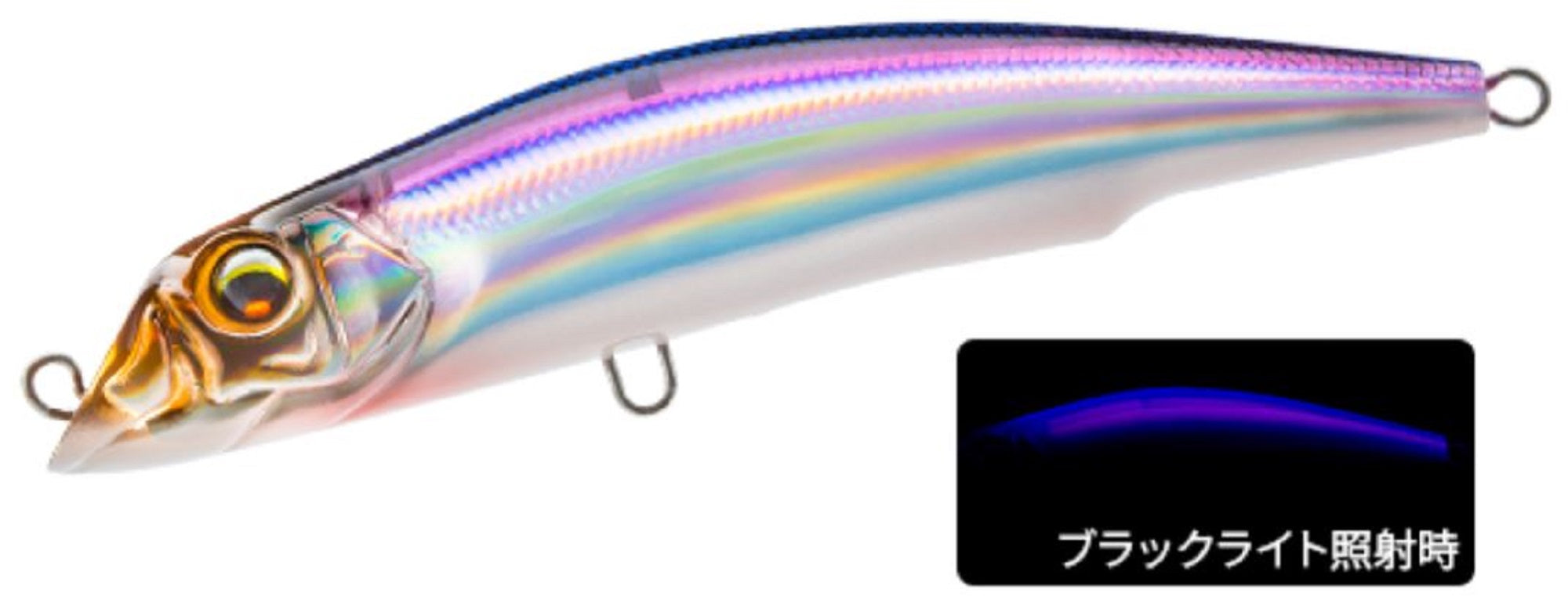 Lure Haven Singapore