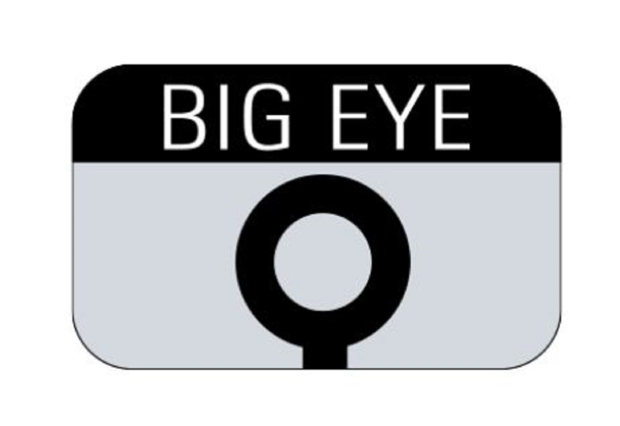 Sasame F-551 Spoon IST Size 8 (6792)